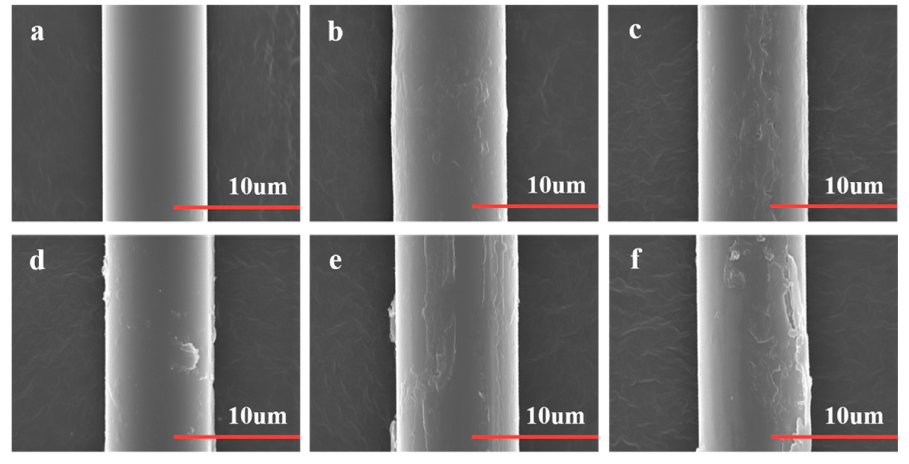 Polymers 14 02947 g001