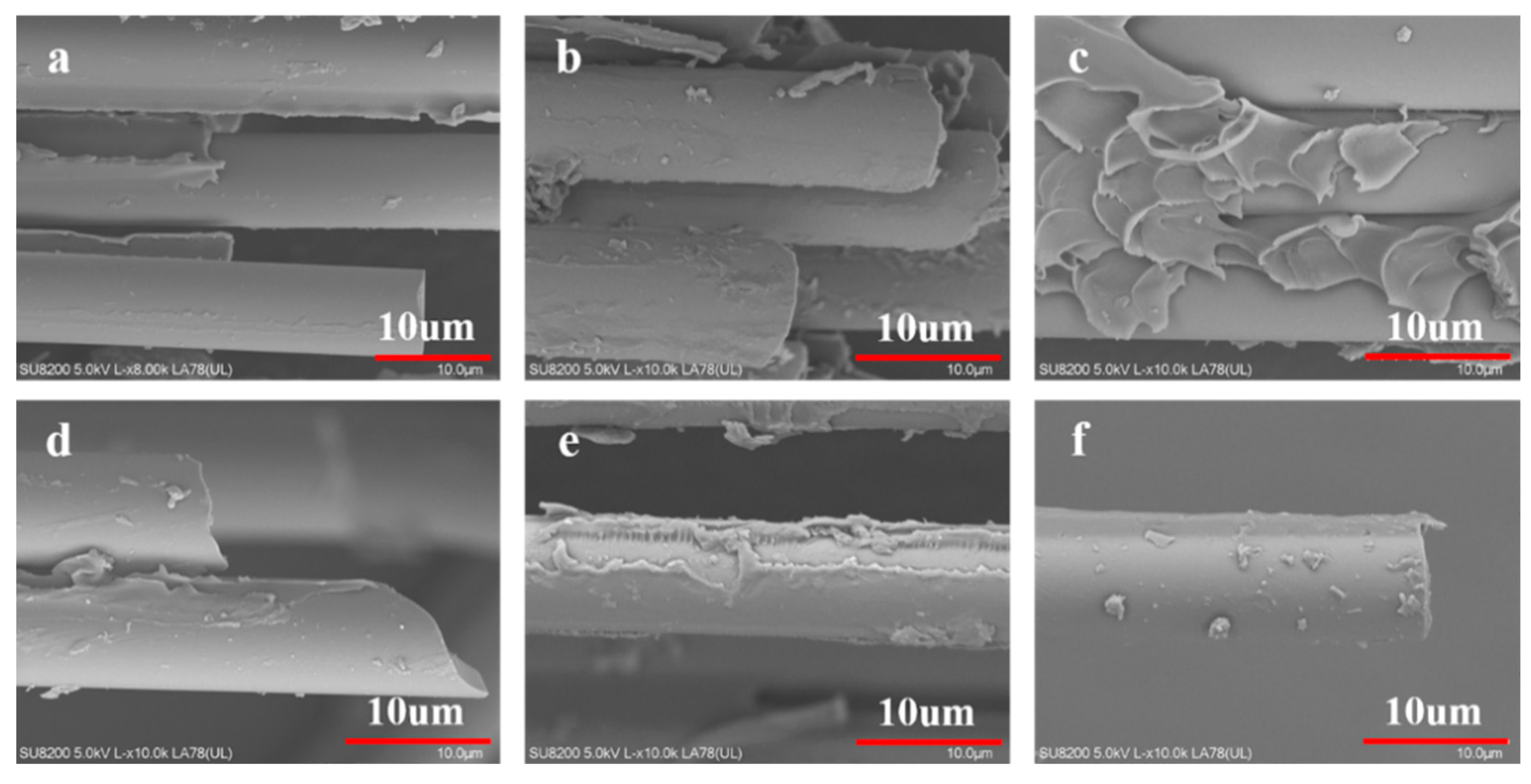 Polymers 14 02947 g004
