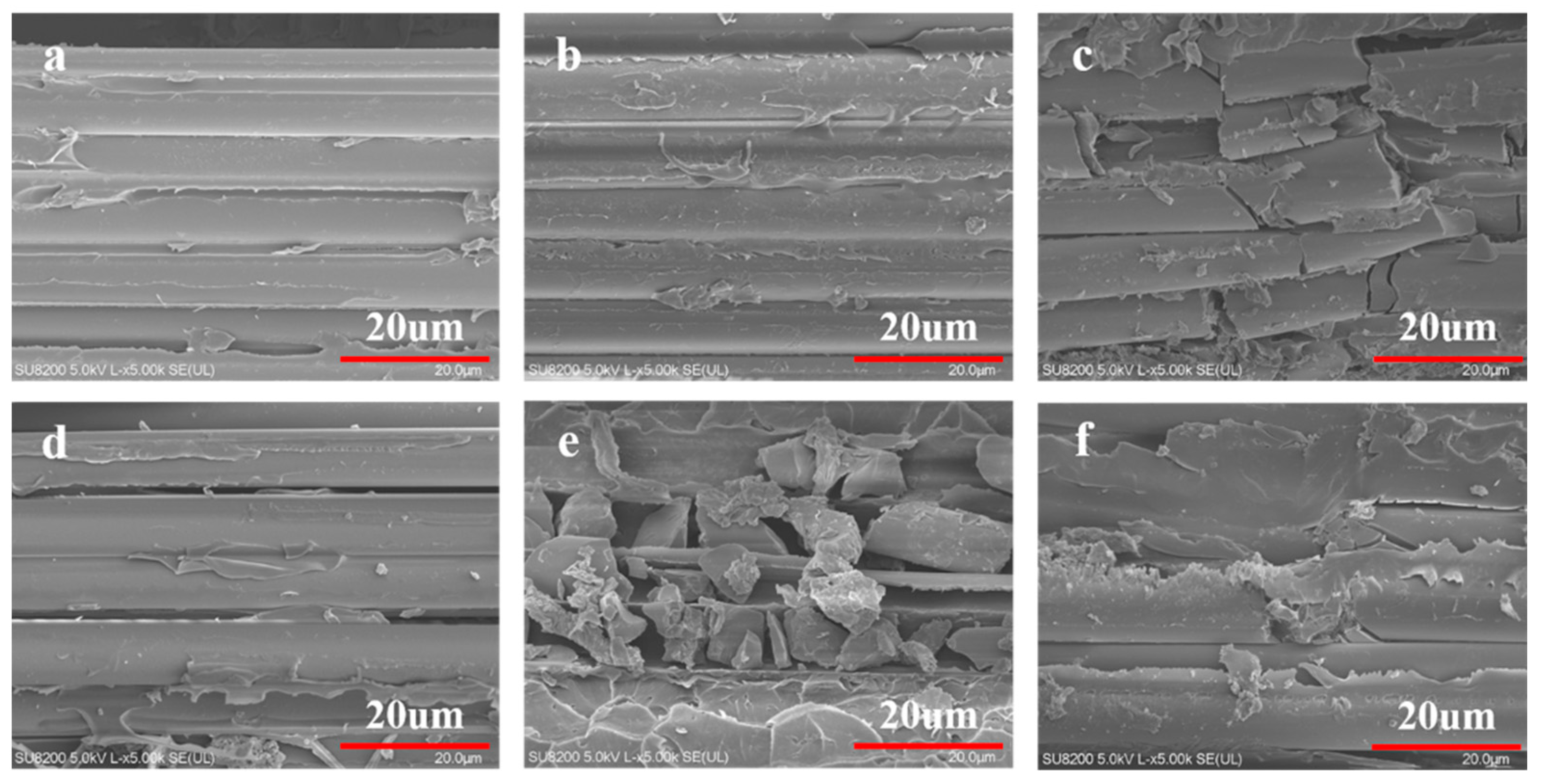 Polymers 14 02947 g008