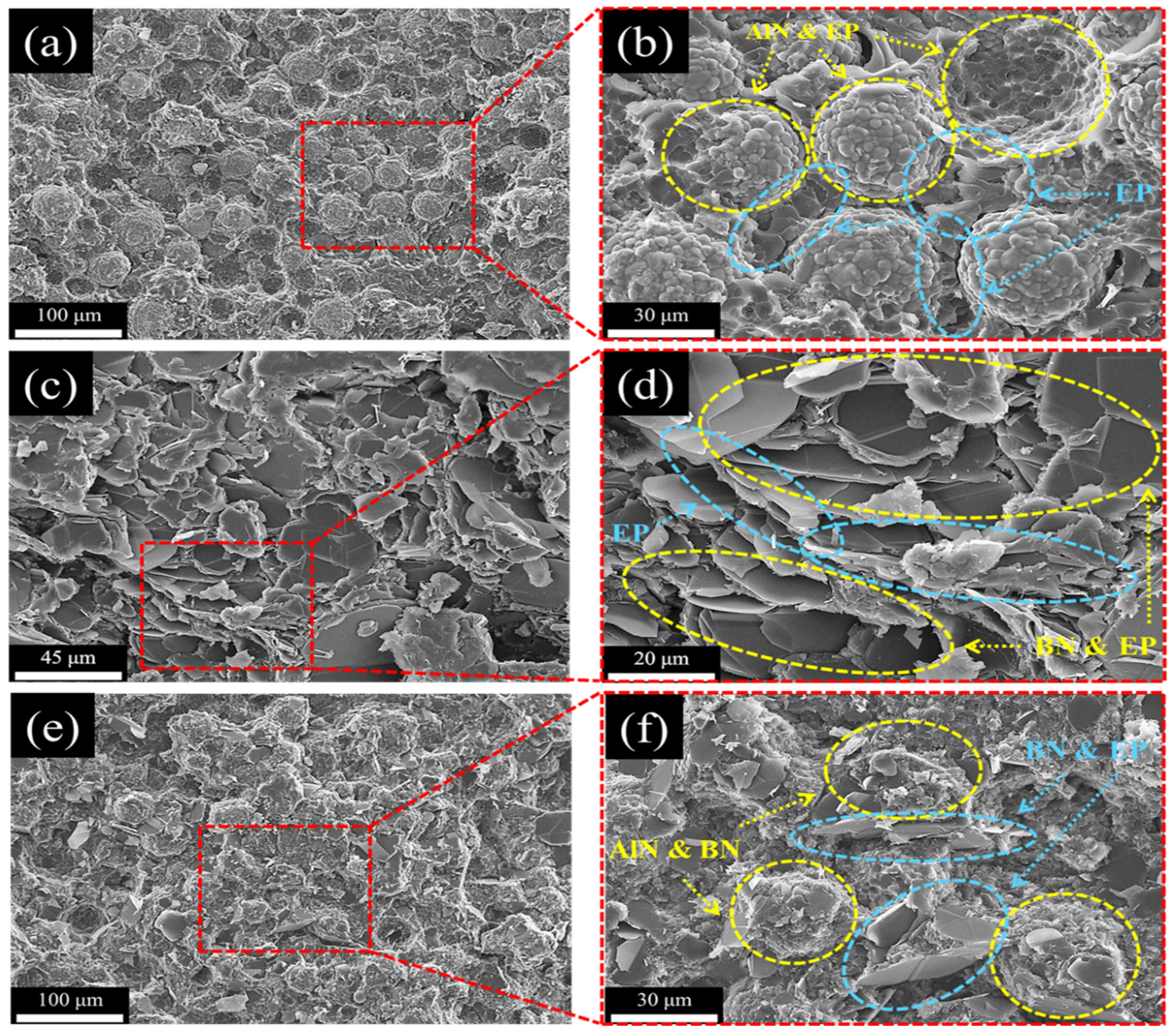 Polymers 14 02950 g008