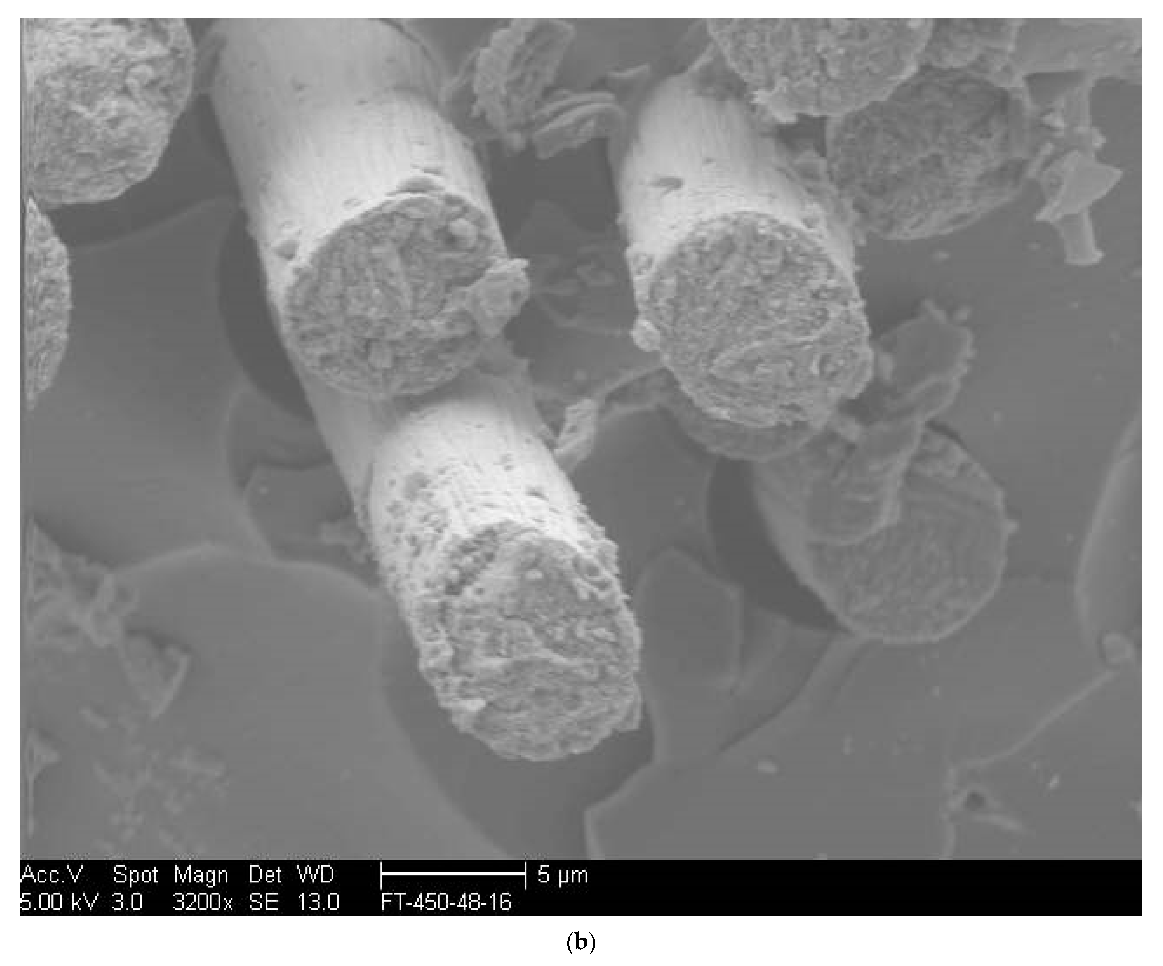 Polymers 14 02957 g002b