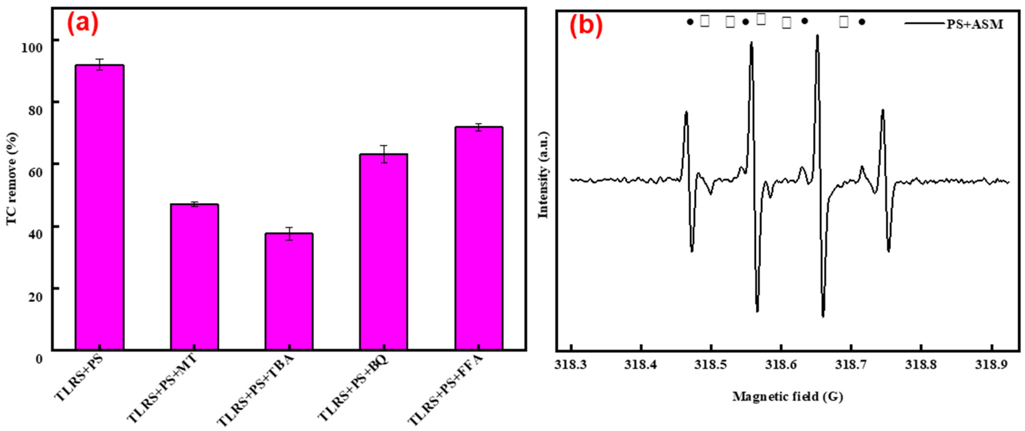 Polymers 14 02959 g003