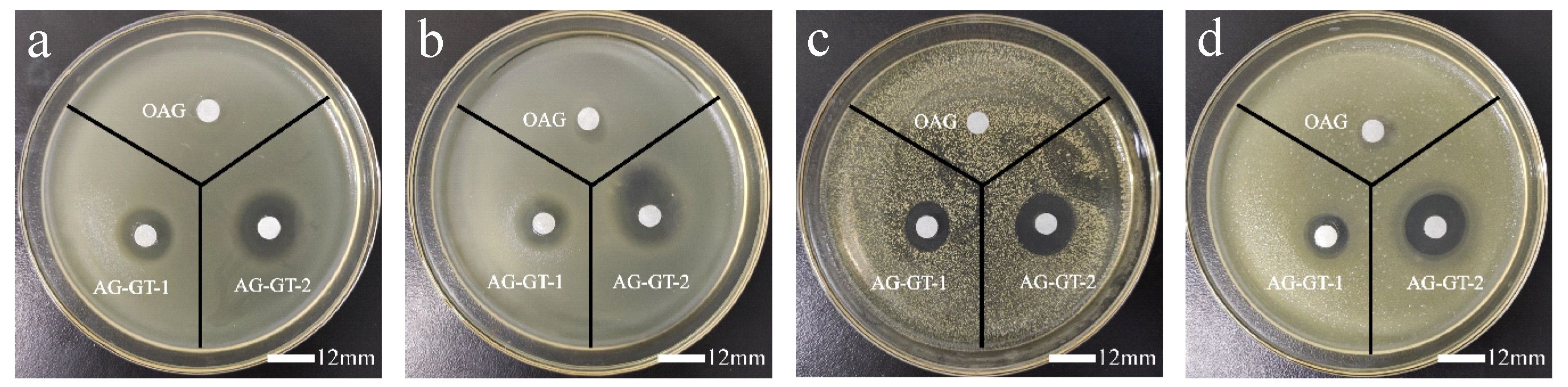 Polymers 14 02975 g003