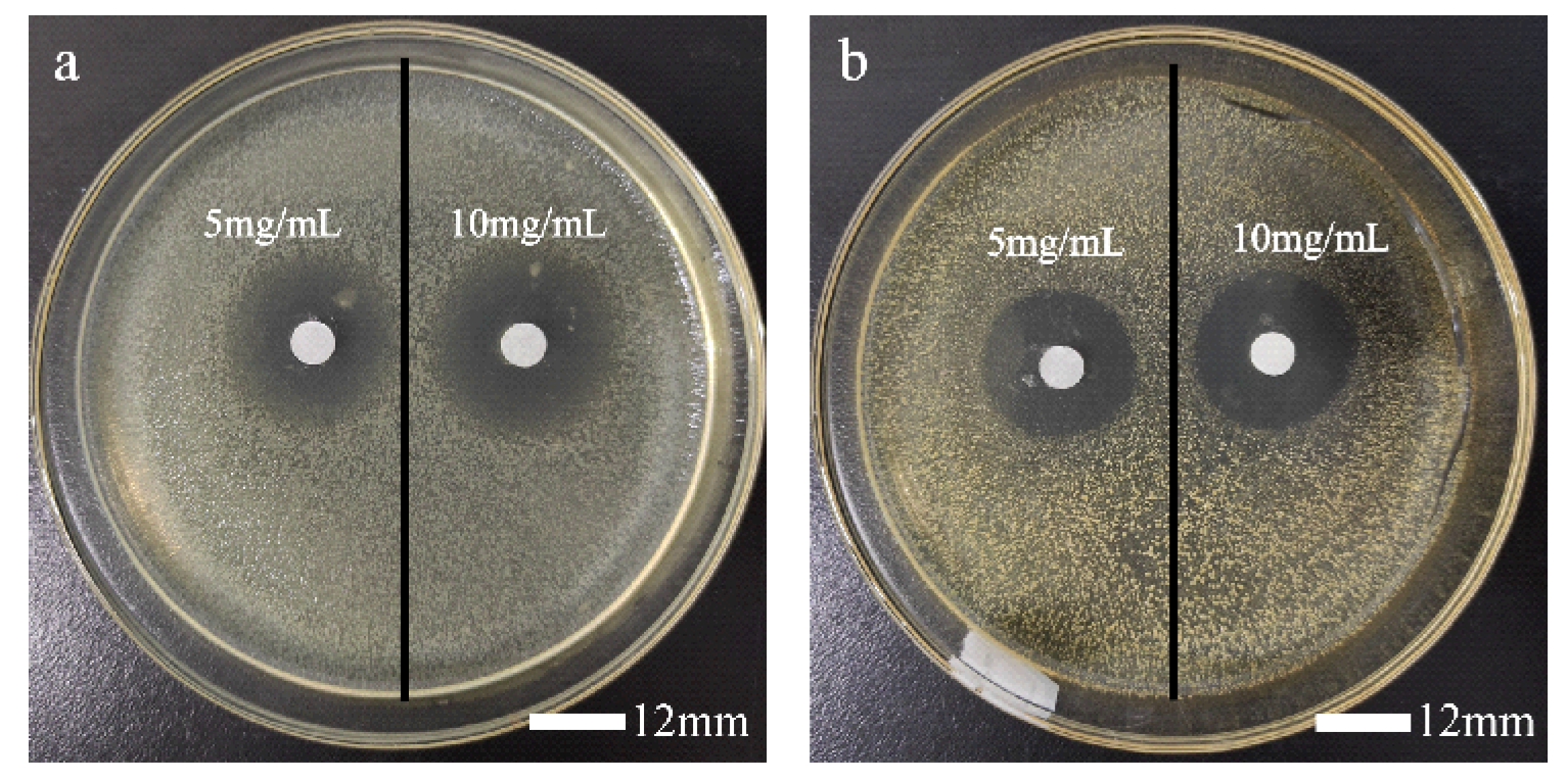 Polymers 14 02975 g004