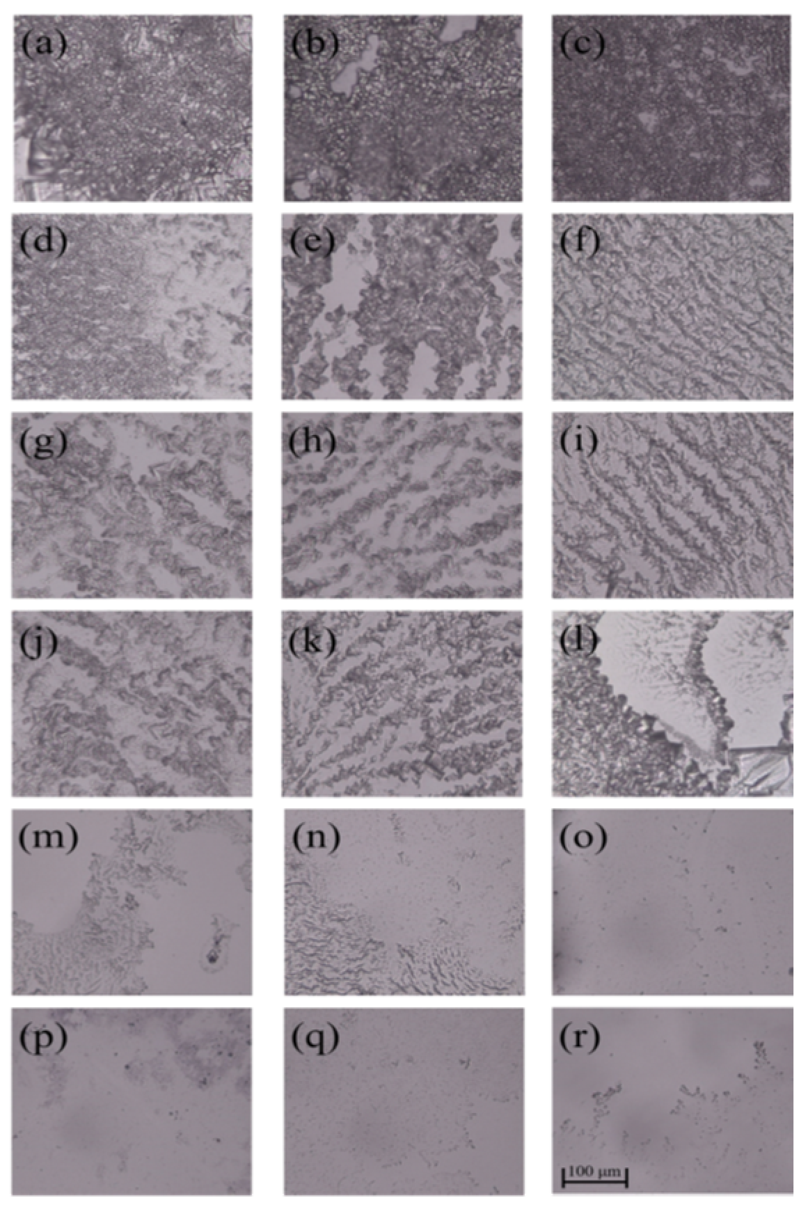 Polymers 14 02975 g005
