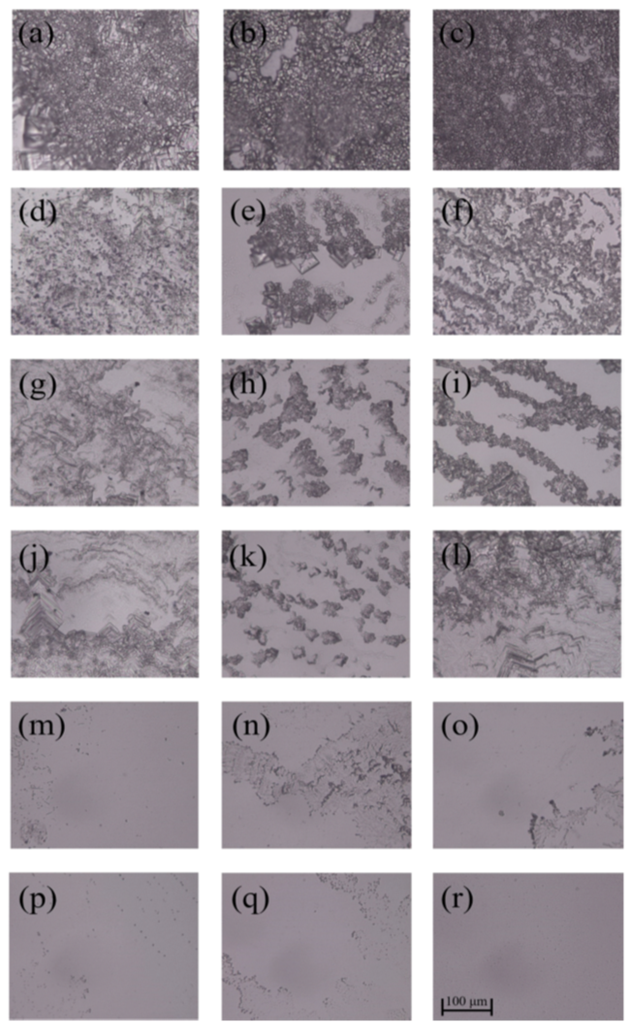 Polymers 14 02975 g006