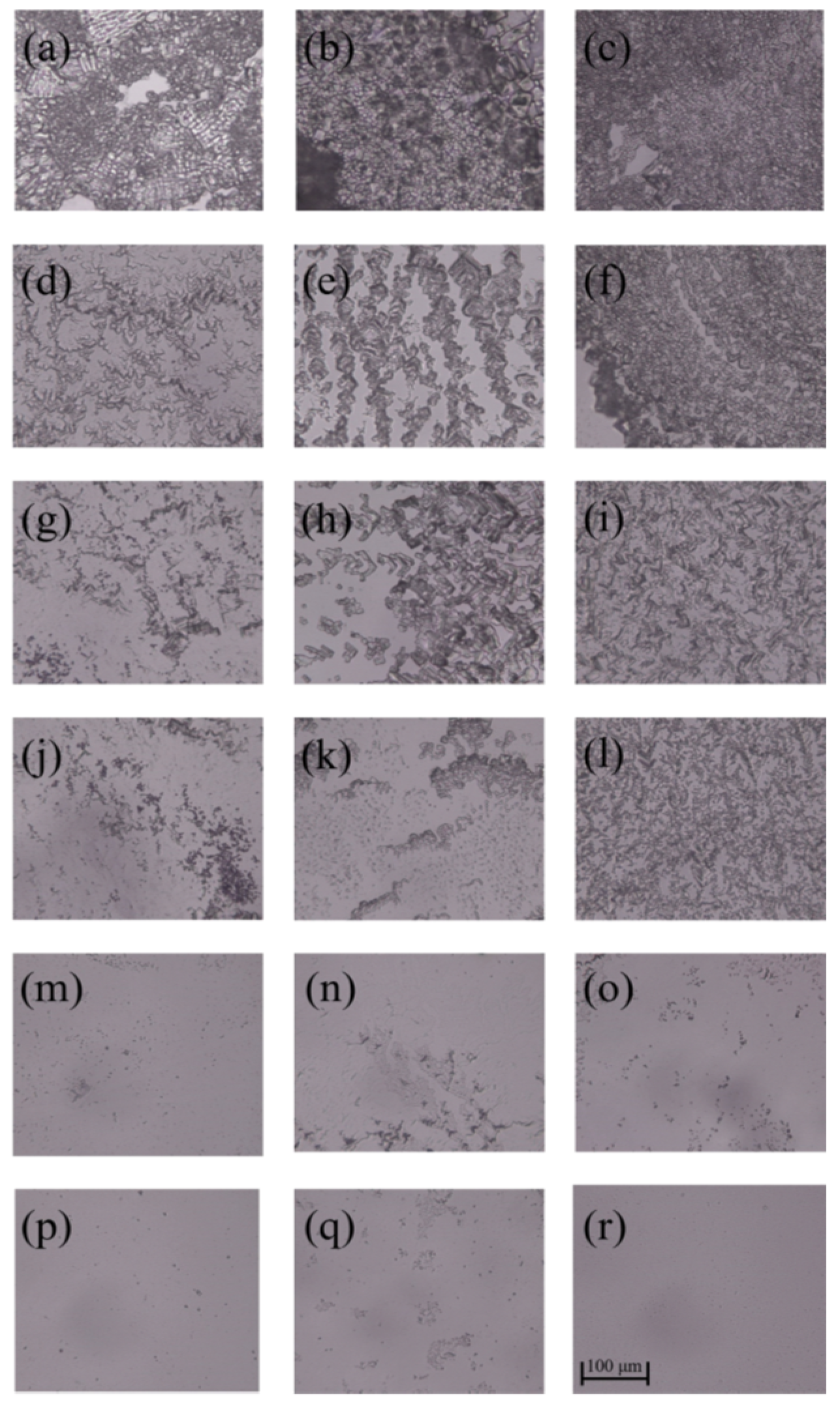 Polymers 14 02975 g008