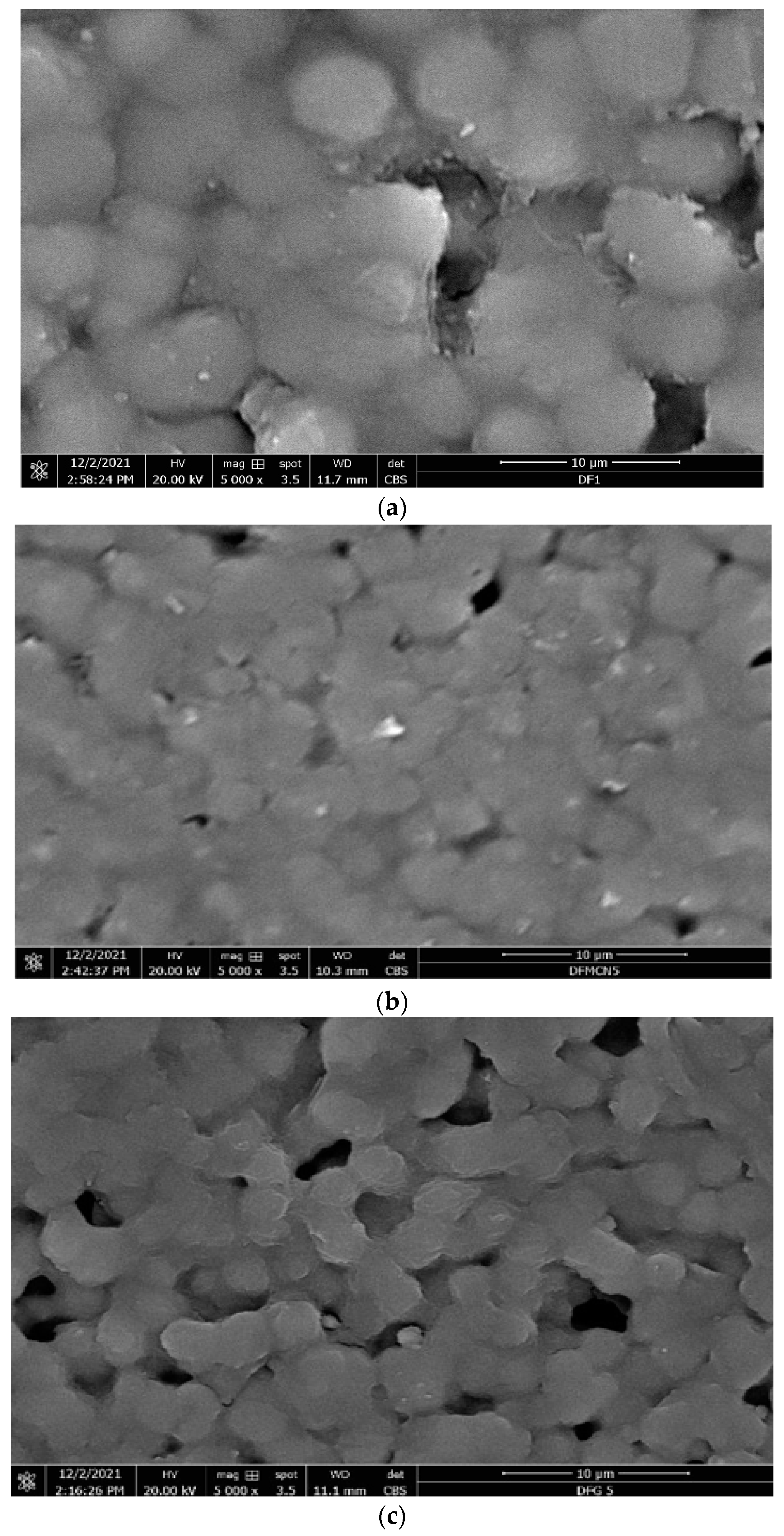 Polymers 14 02976 g014