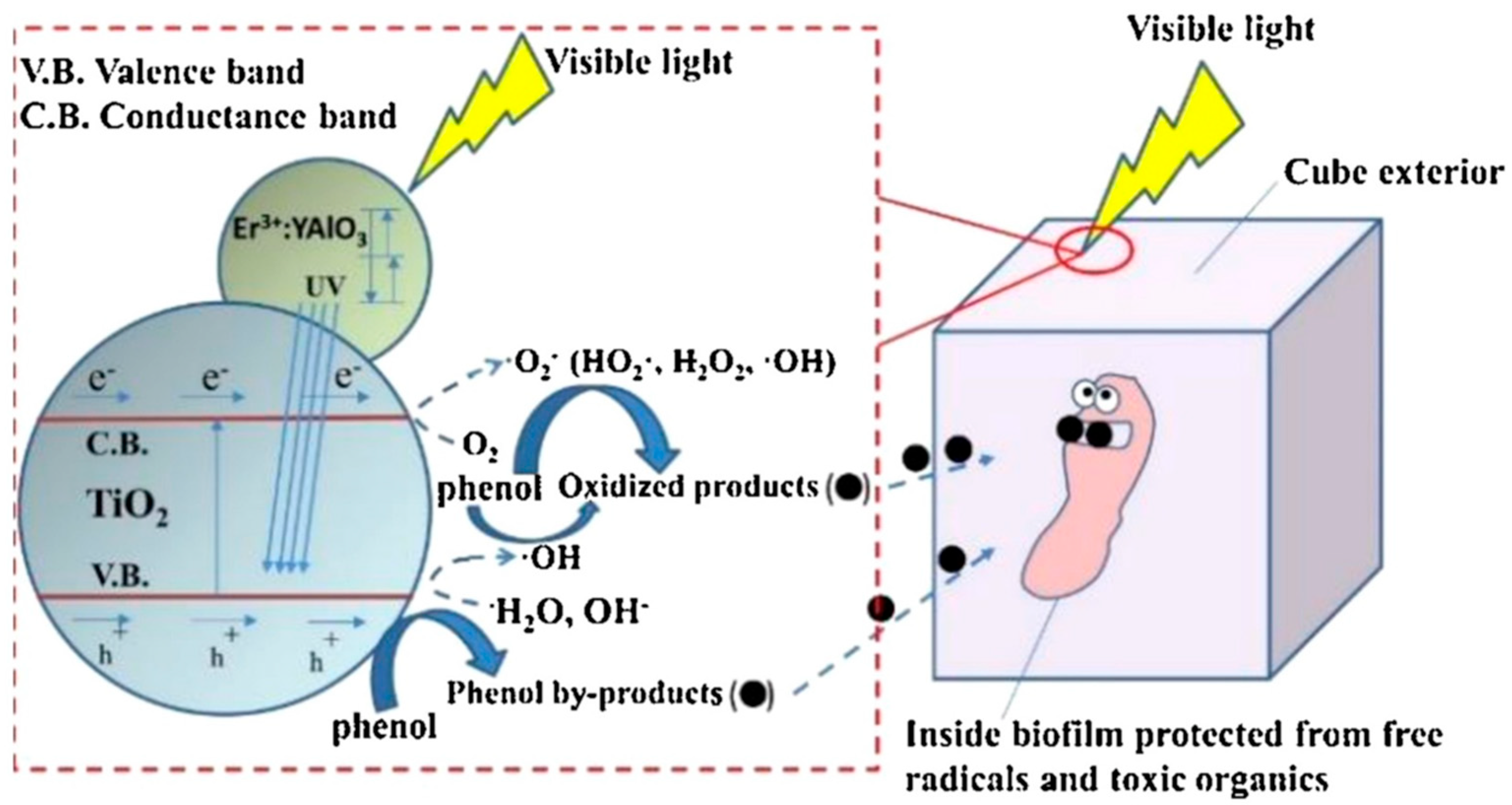 Polymers 14 02998 g001