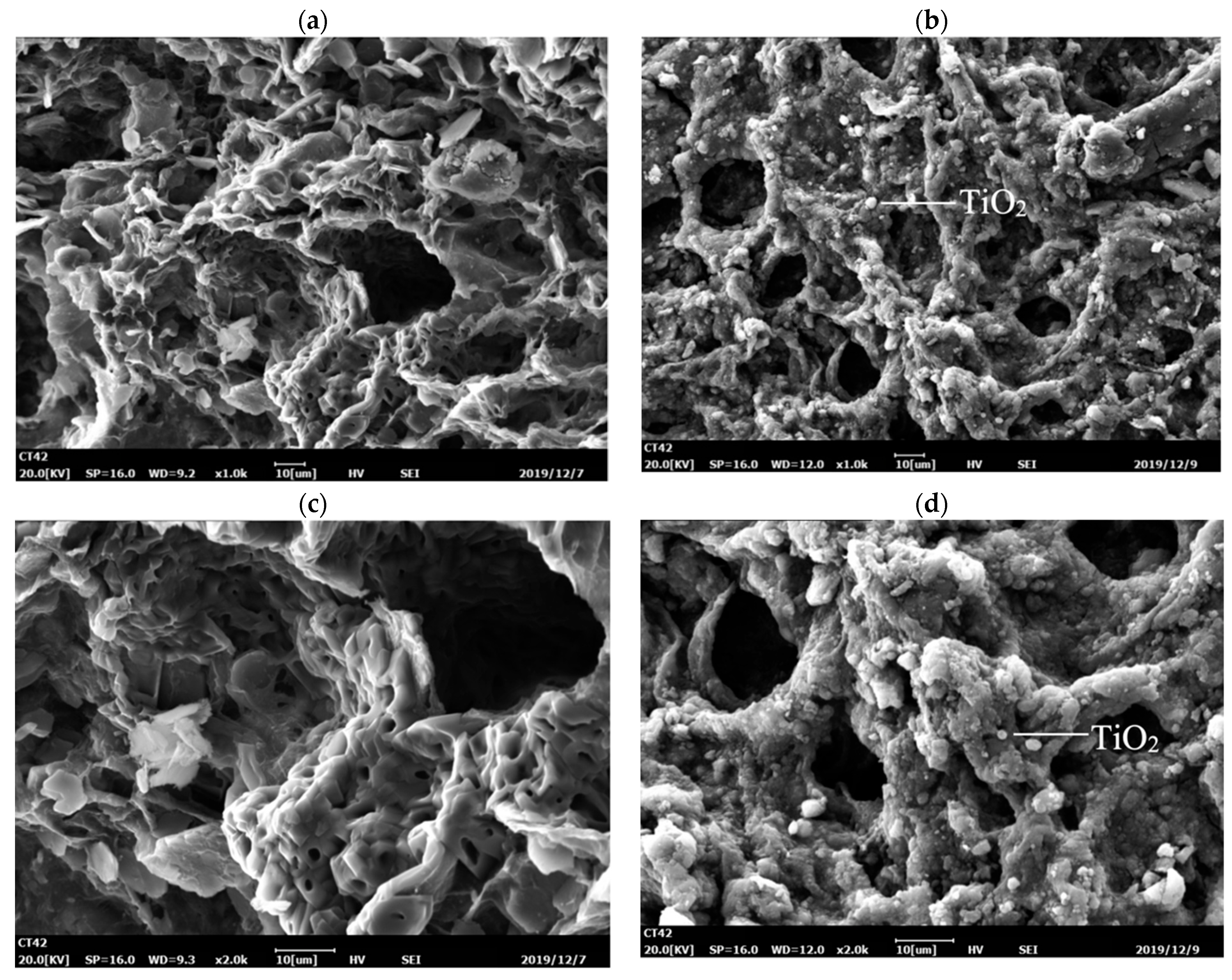 Polymers 14 02998 g006