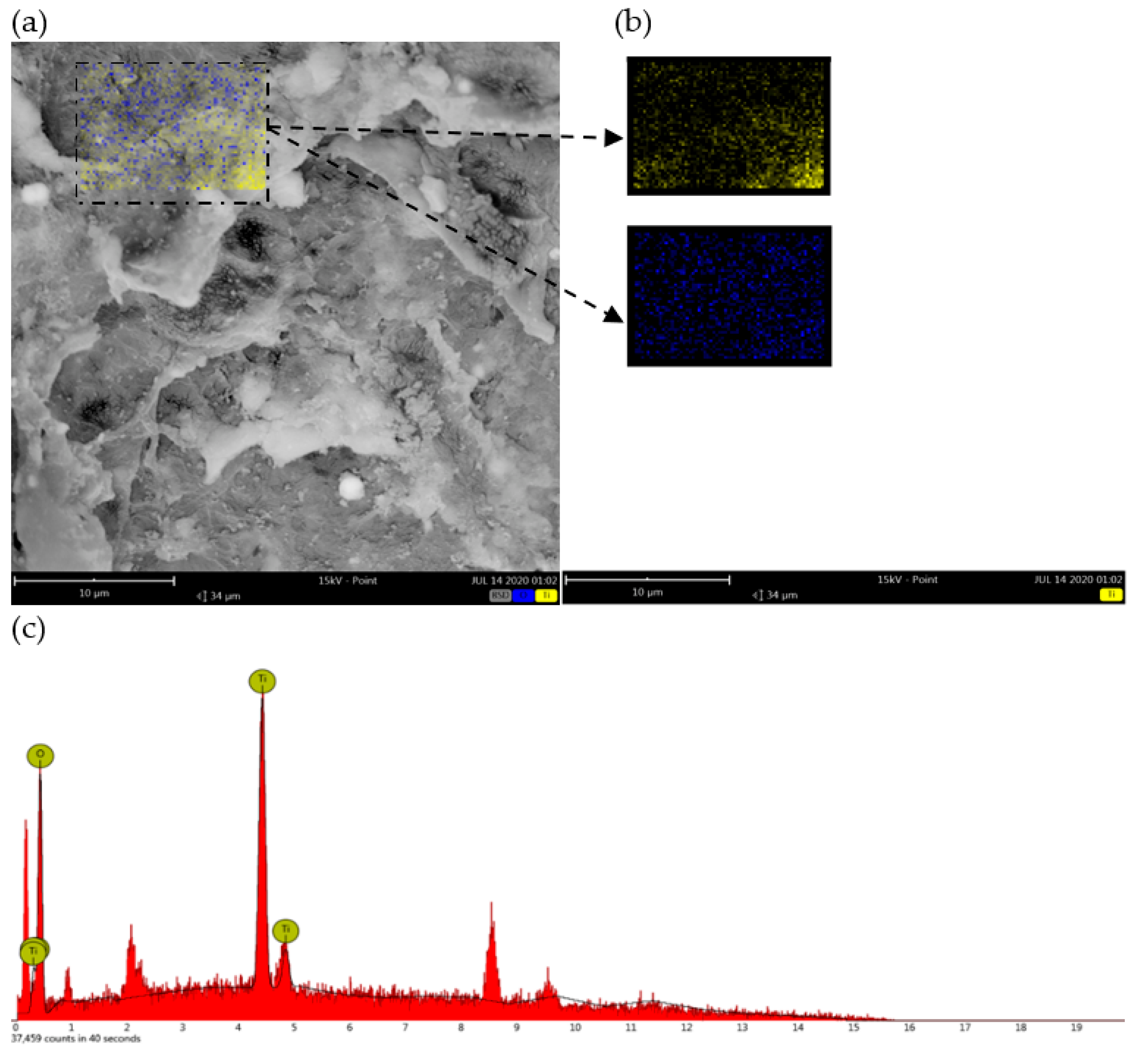 Polymers 14 02998 g007