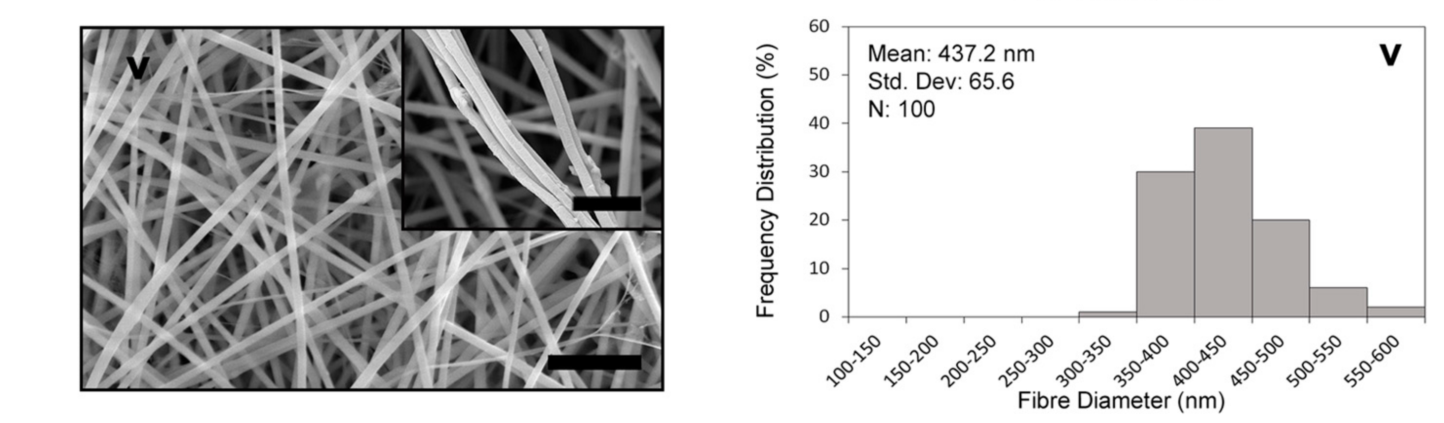 Polymers 14 03004 g001b