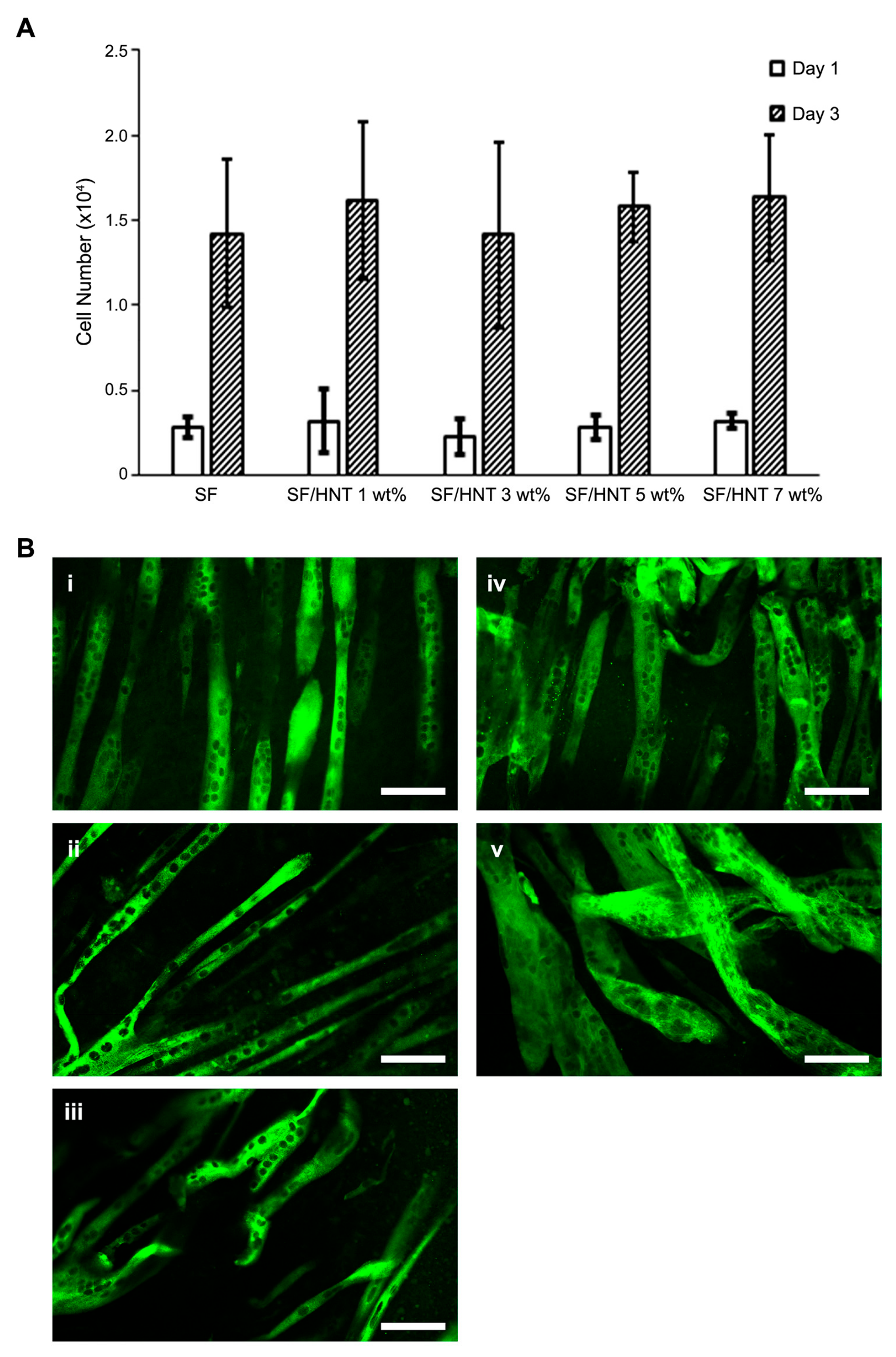 Polymers 14 03004 g007