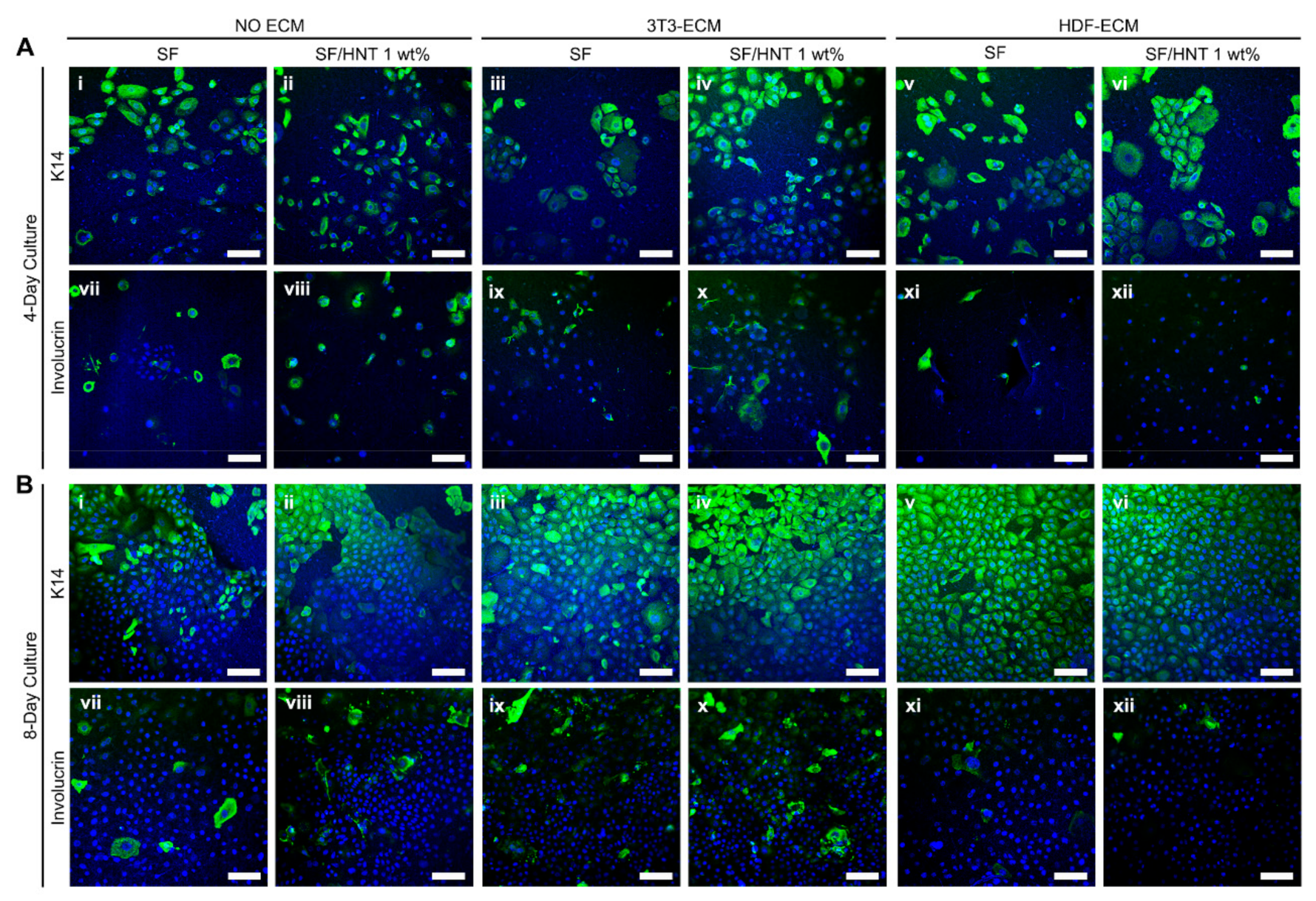 Polymers 14 03004 g009