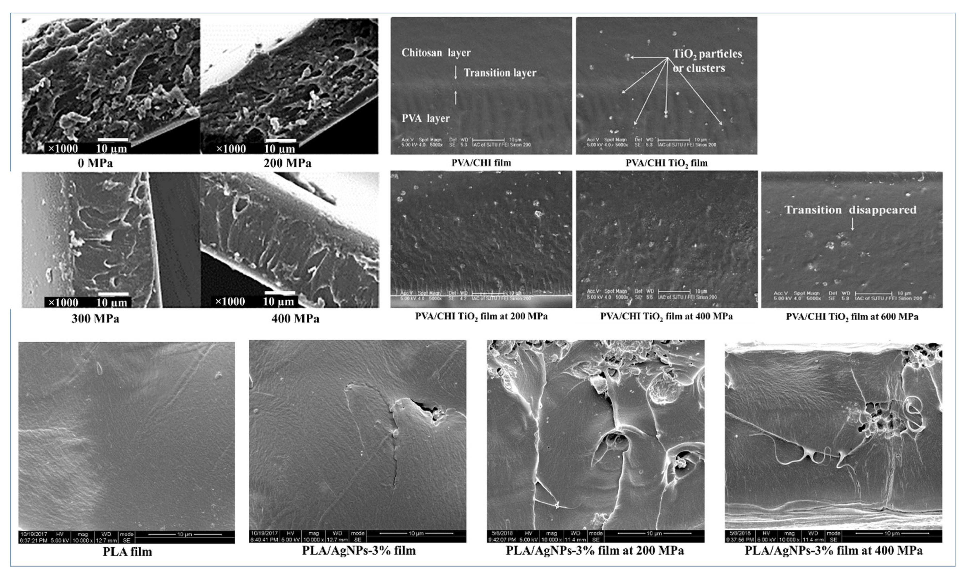 Polymers 14 03009 g003