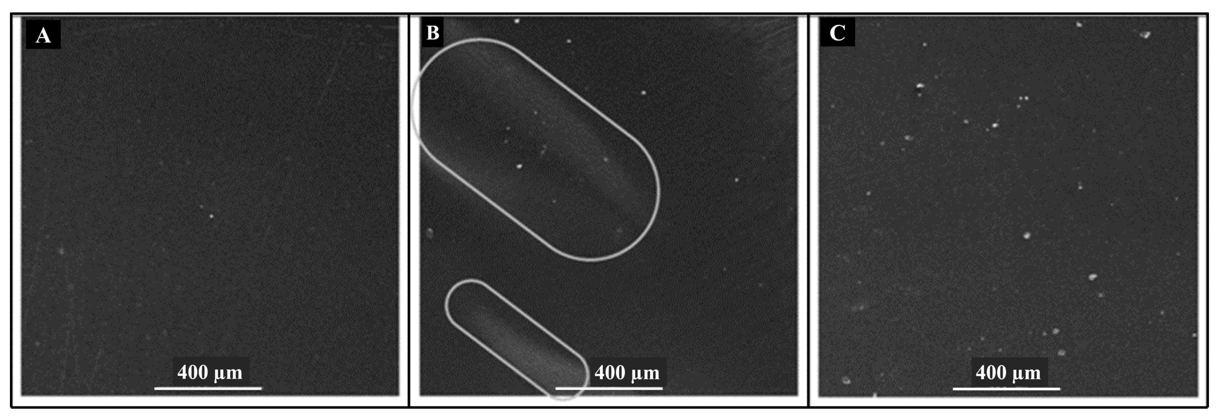 Polymers 14 03009 g005