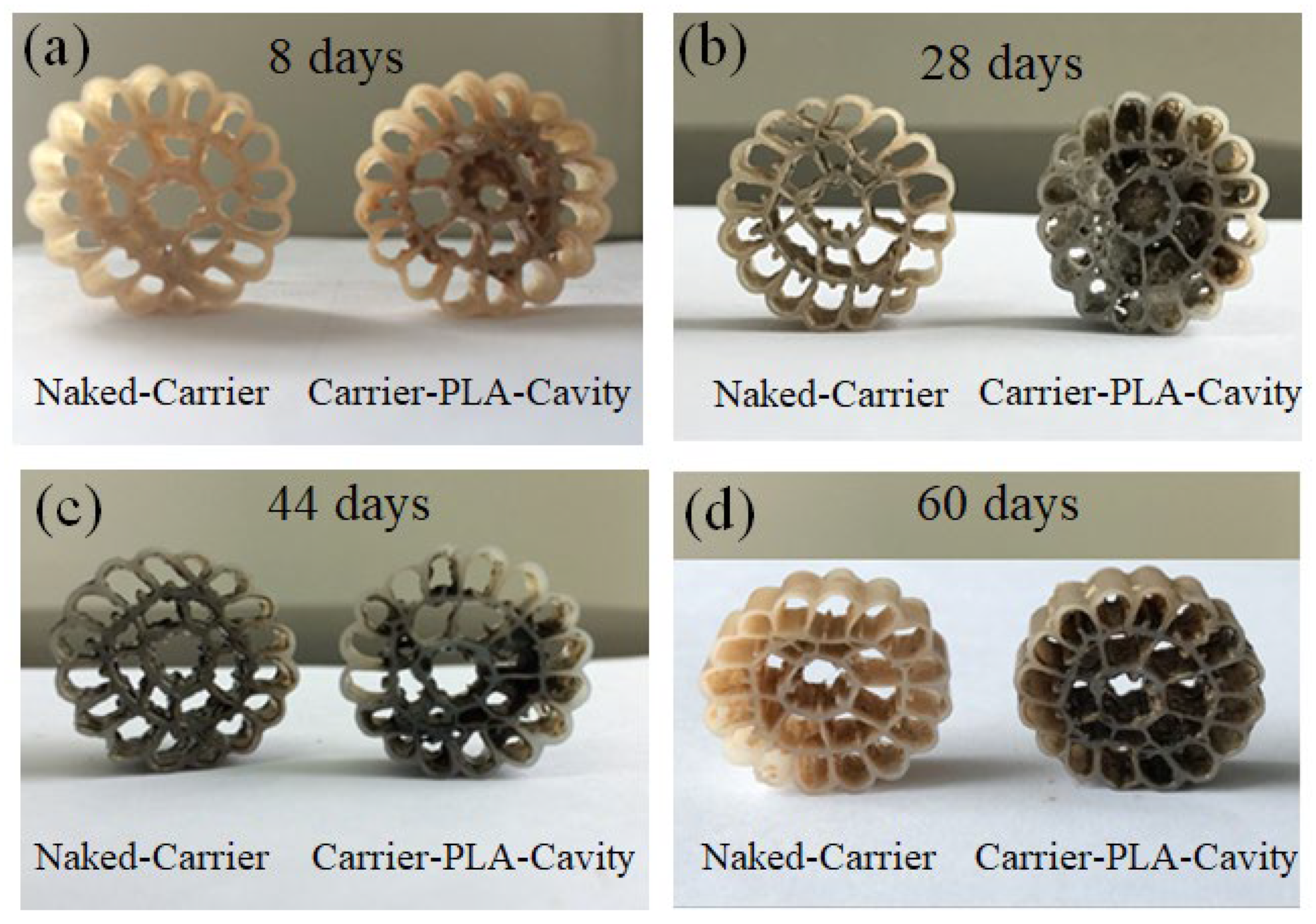 Polymers 14 03010 g005