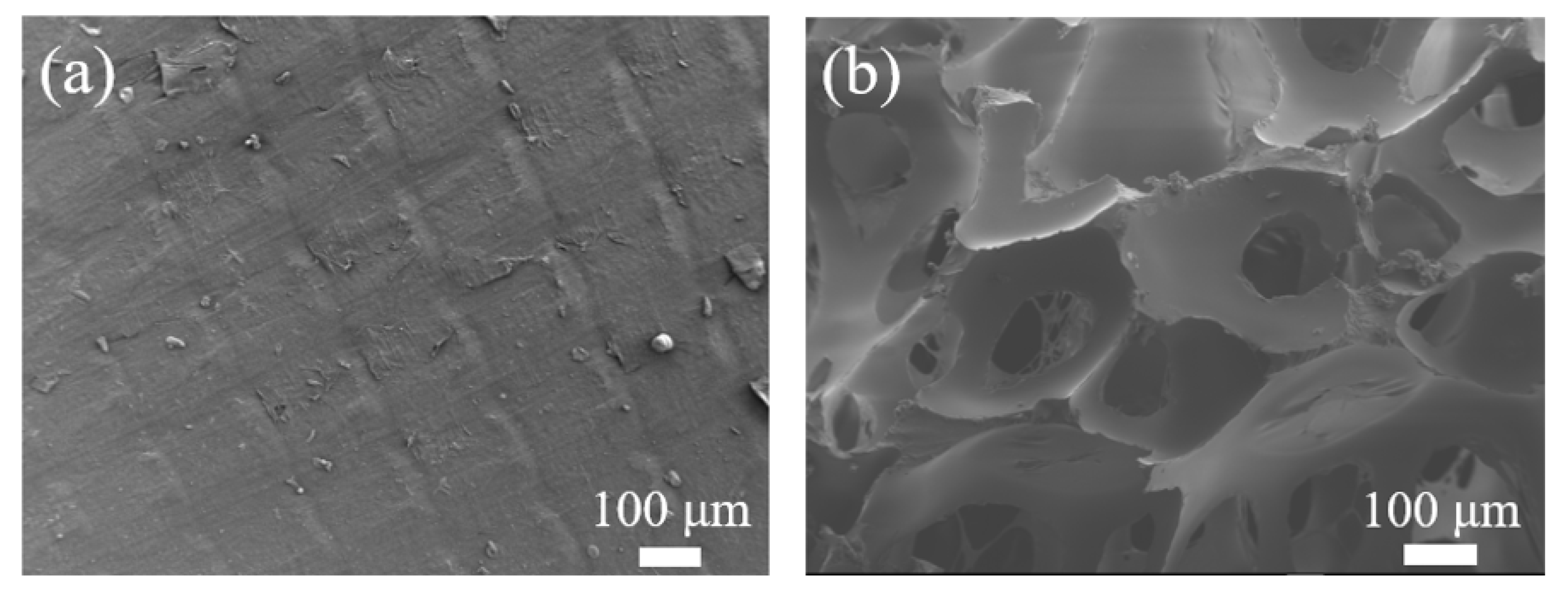Polymers 14 03010 g011