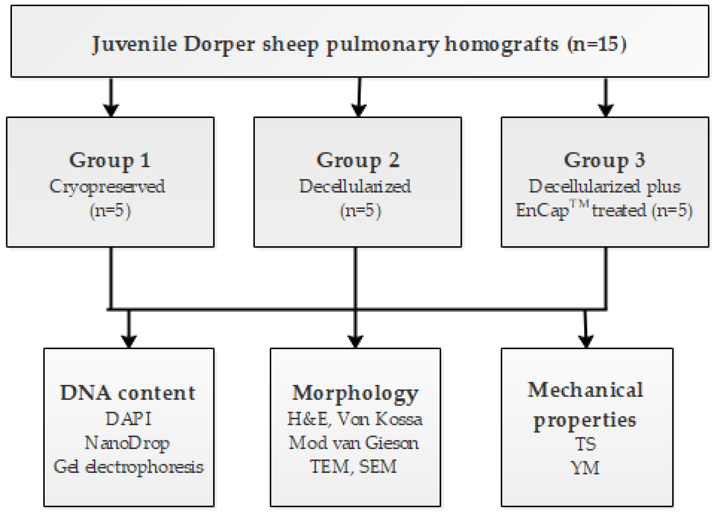 Polymers 14 03036 g001 Polymers 14 03036 g001