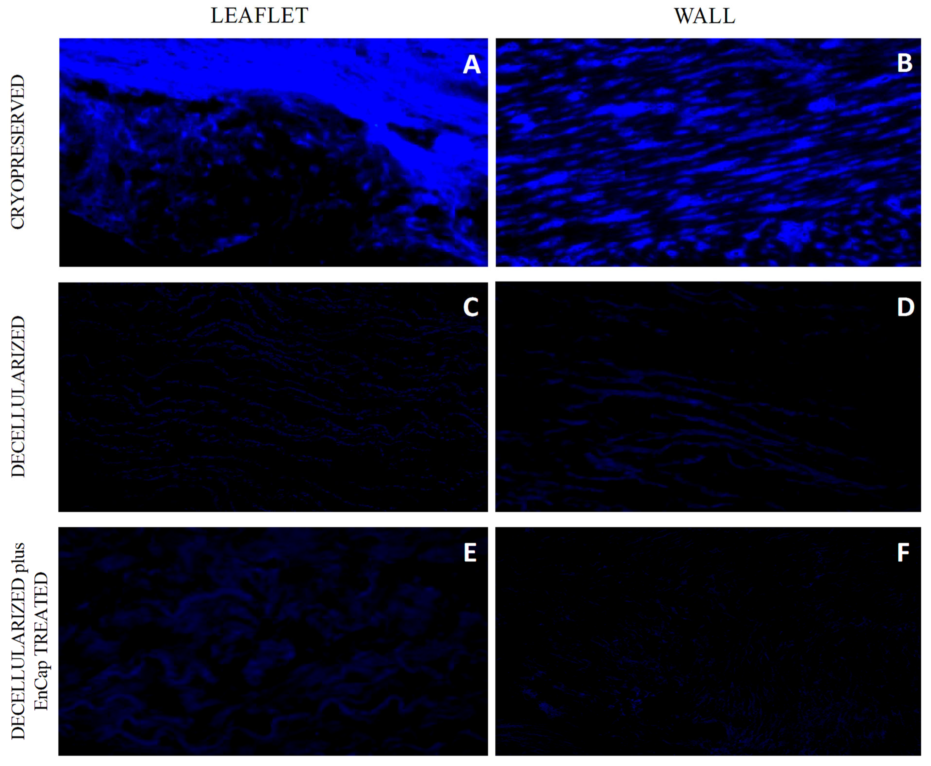 Polymers 14 03036 g002 Polymers 14 03036 g002