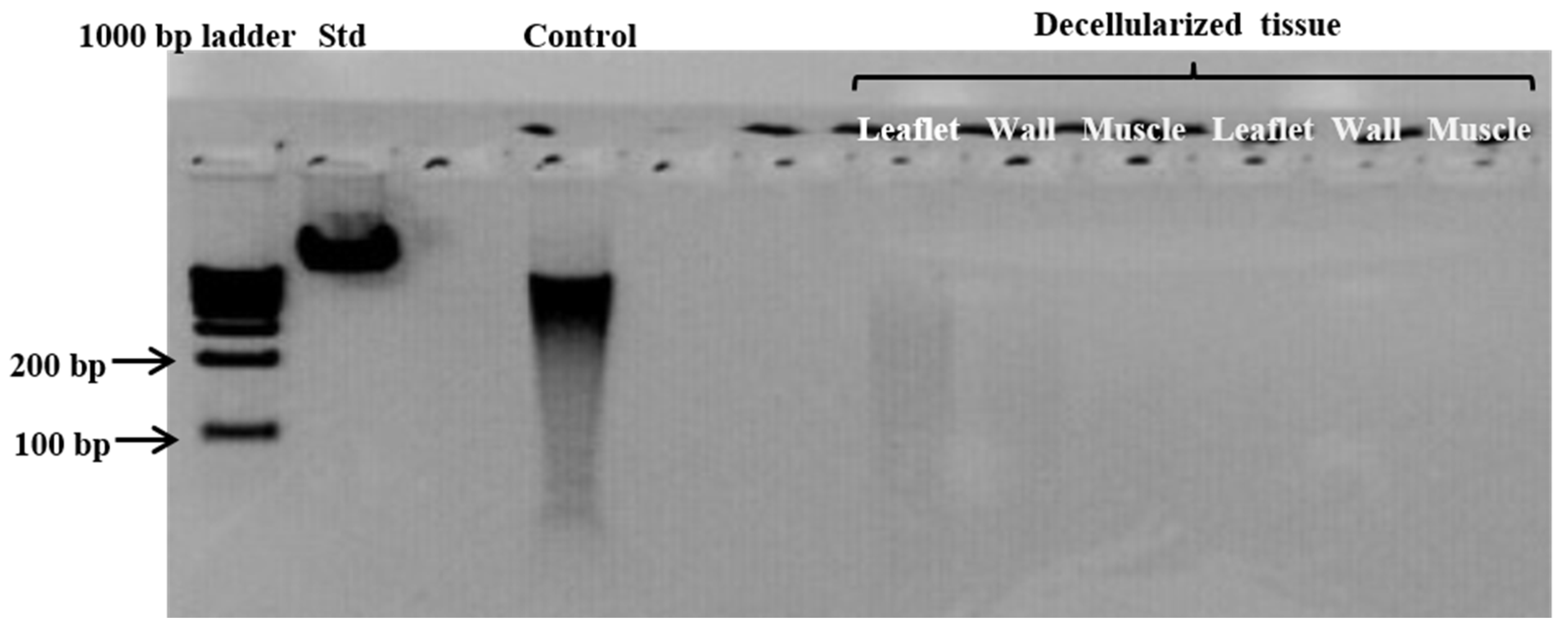 Polymers 14 03036 g003 Polymers 14 03036 g003