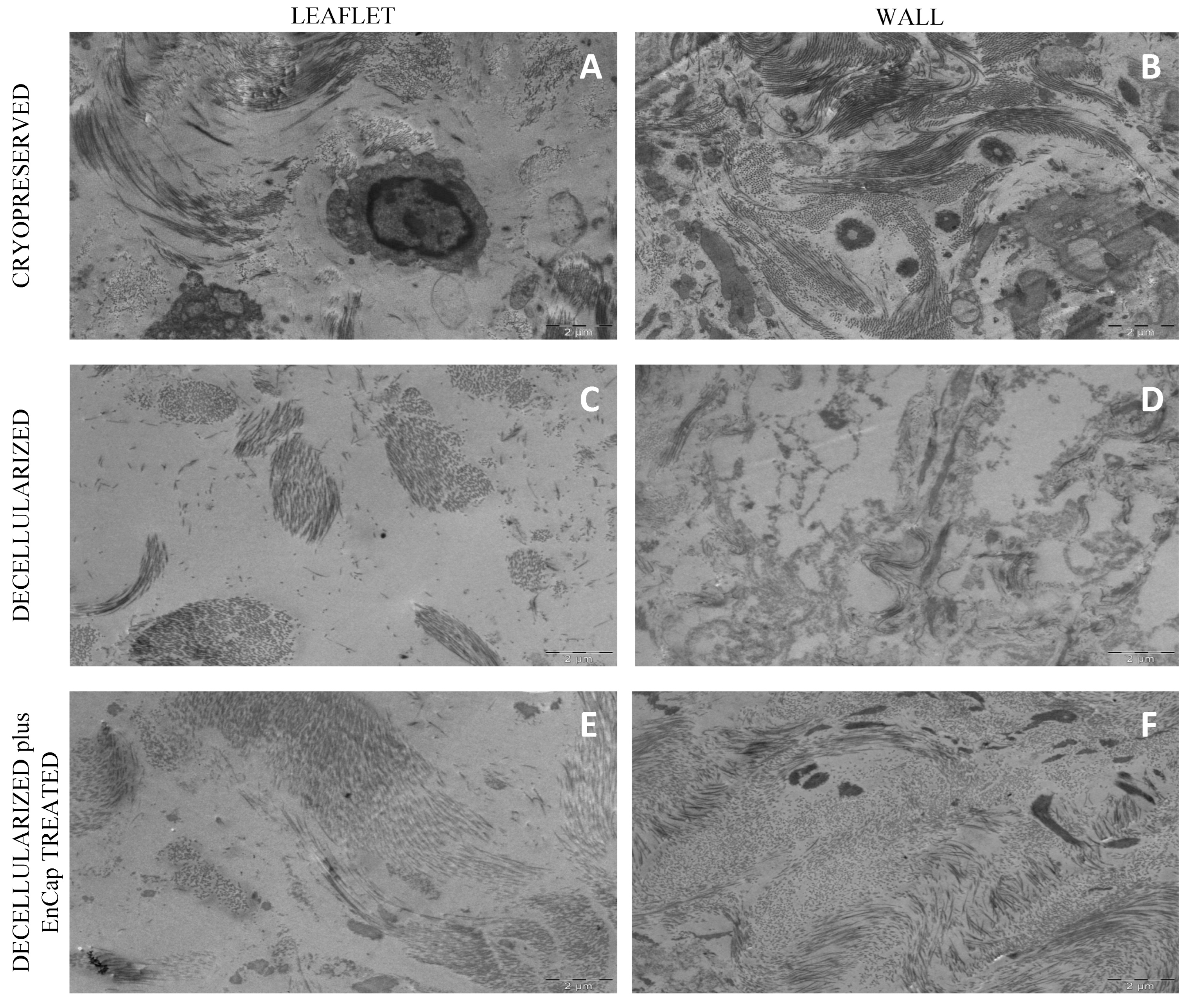 Polymers 14 03036 g007 Polymers 14 03036 g007