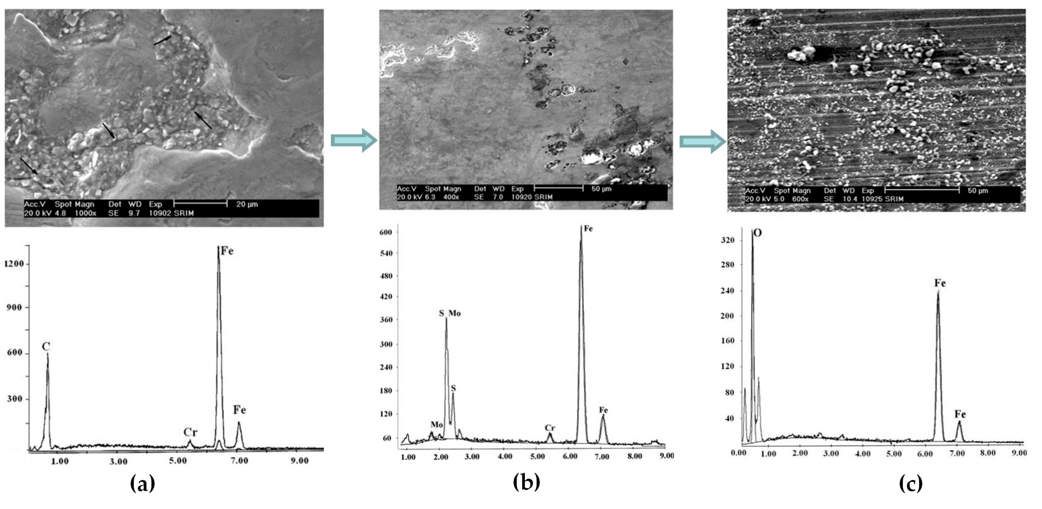 Polymers 14 03041 g006