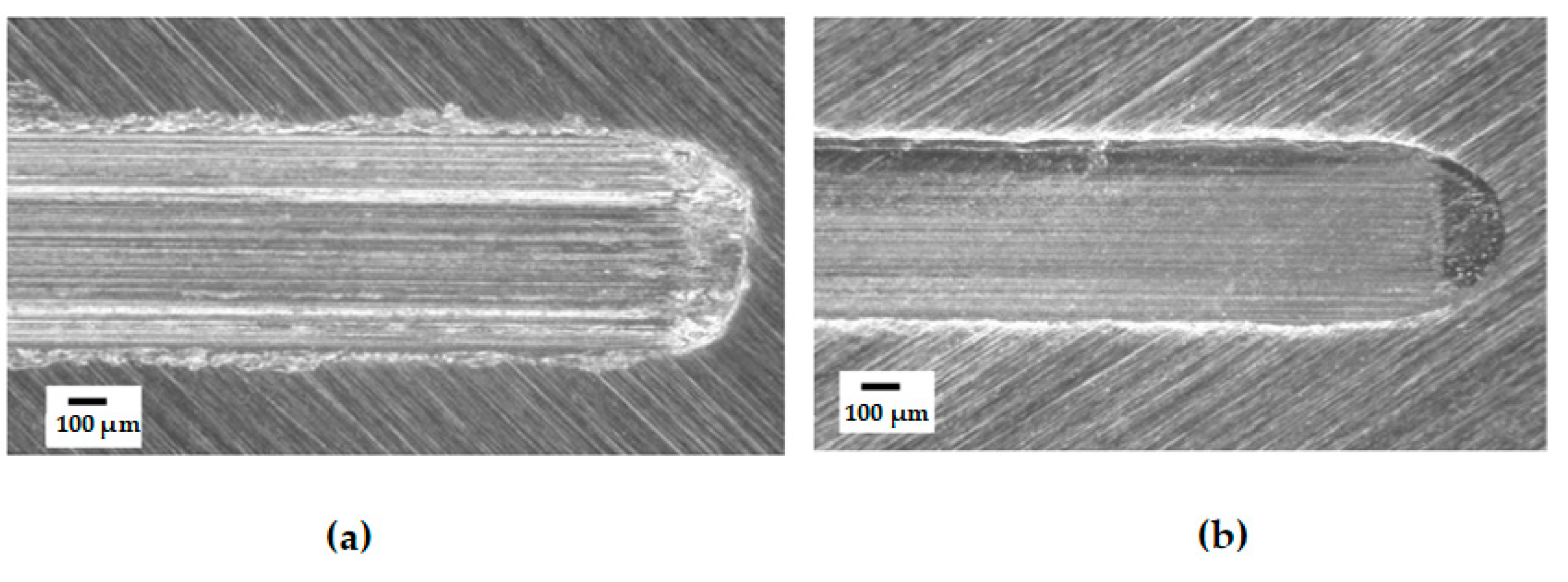 Polymers 14 03041 g014