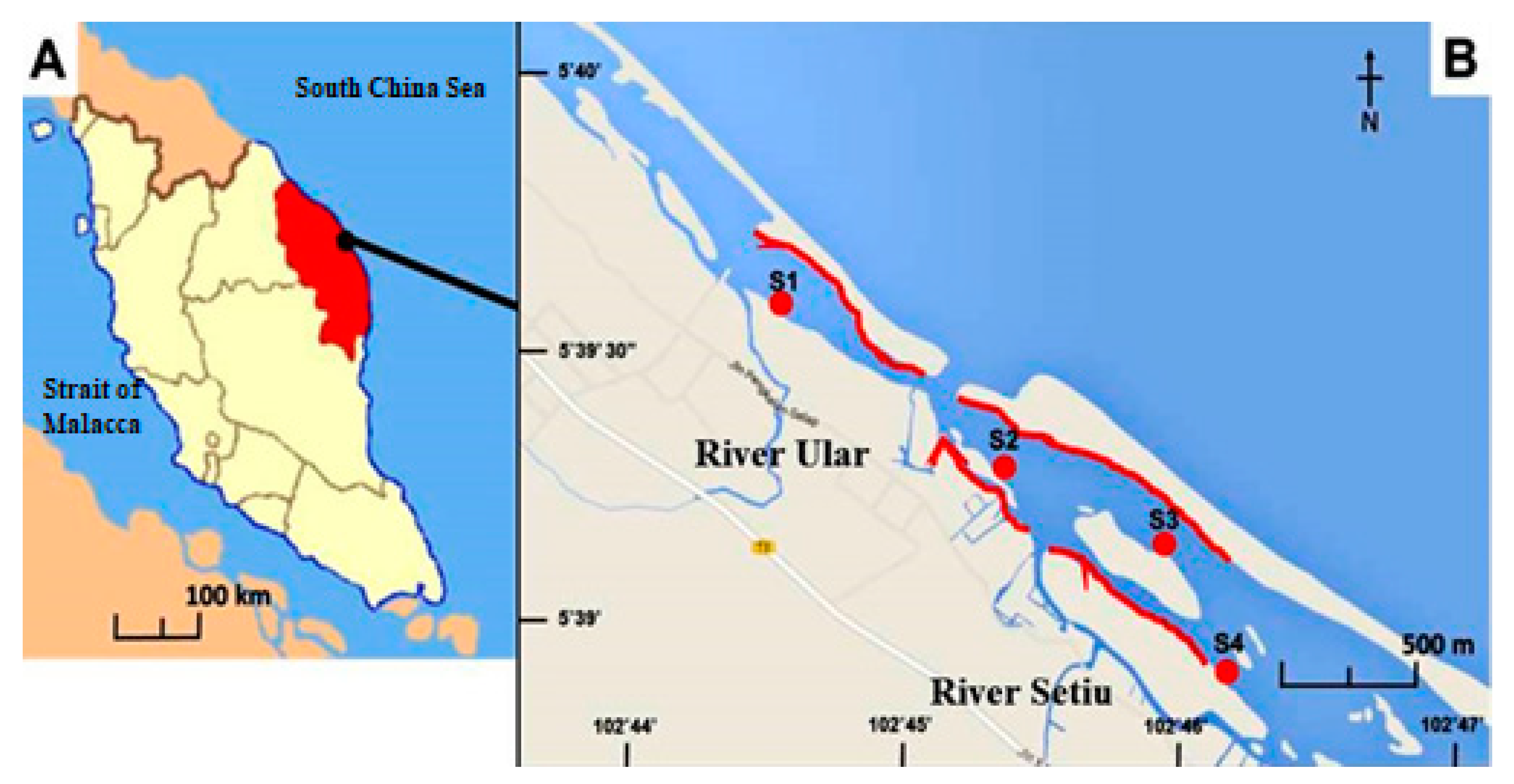 Polymers 14 03054 g001