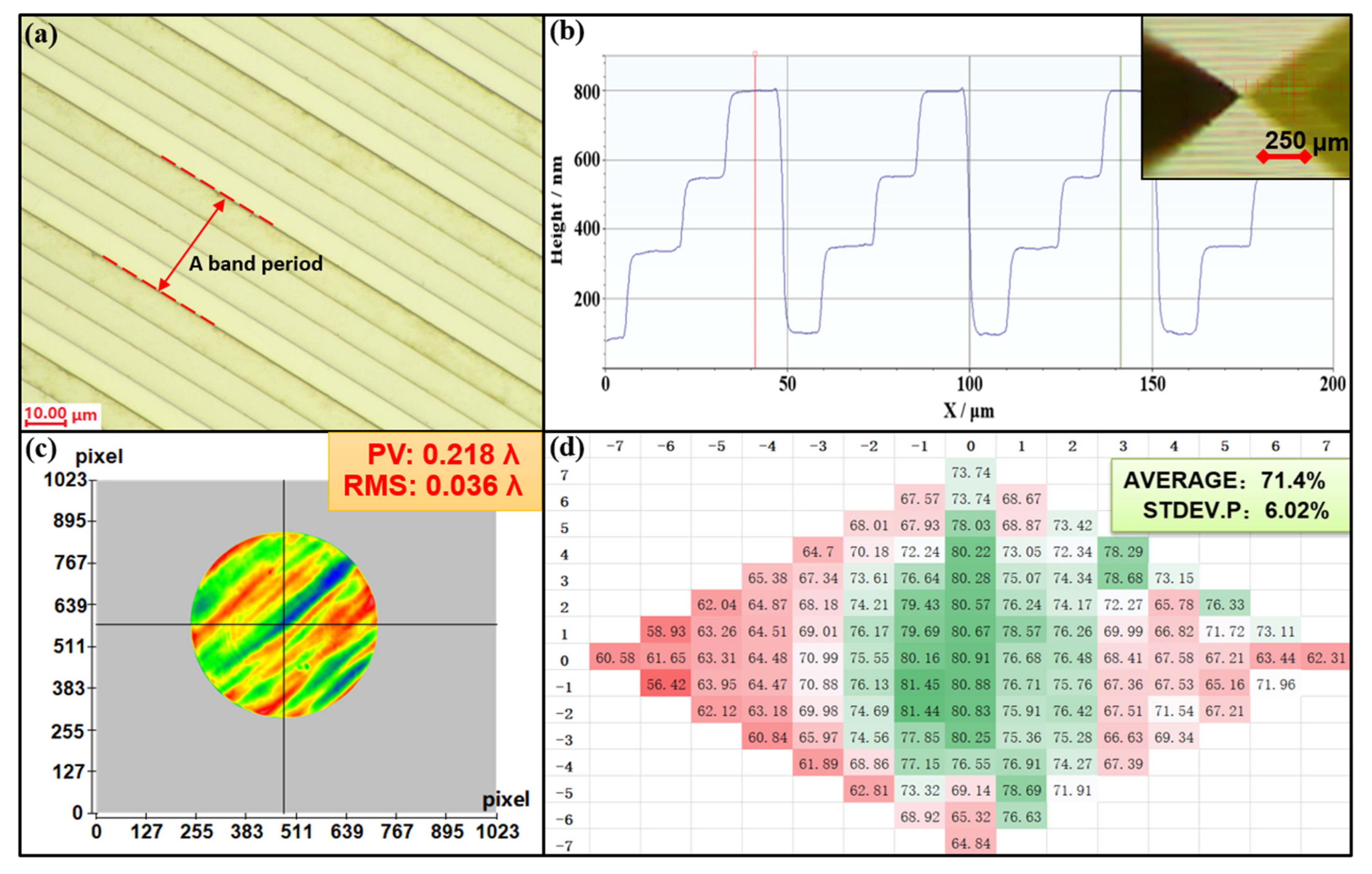 Polymers 14 03056 g006