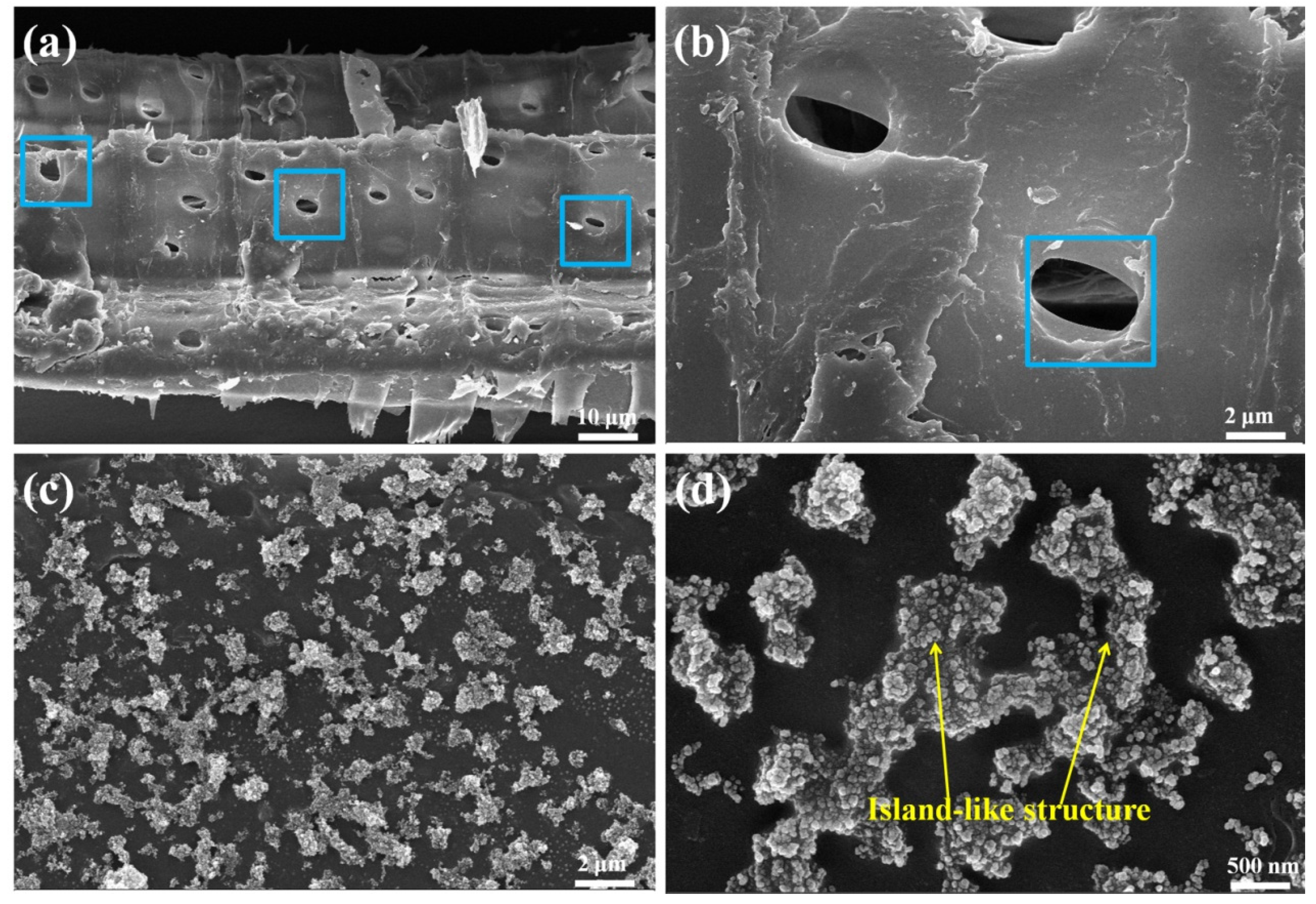Polymers 14 03062 g004