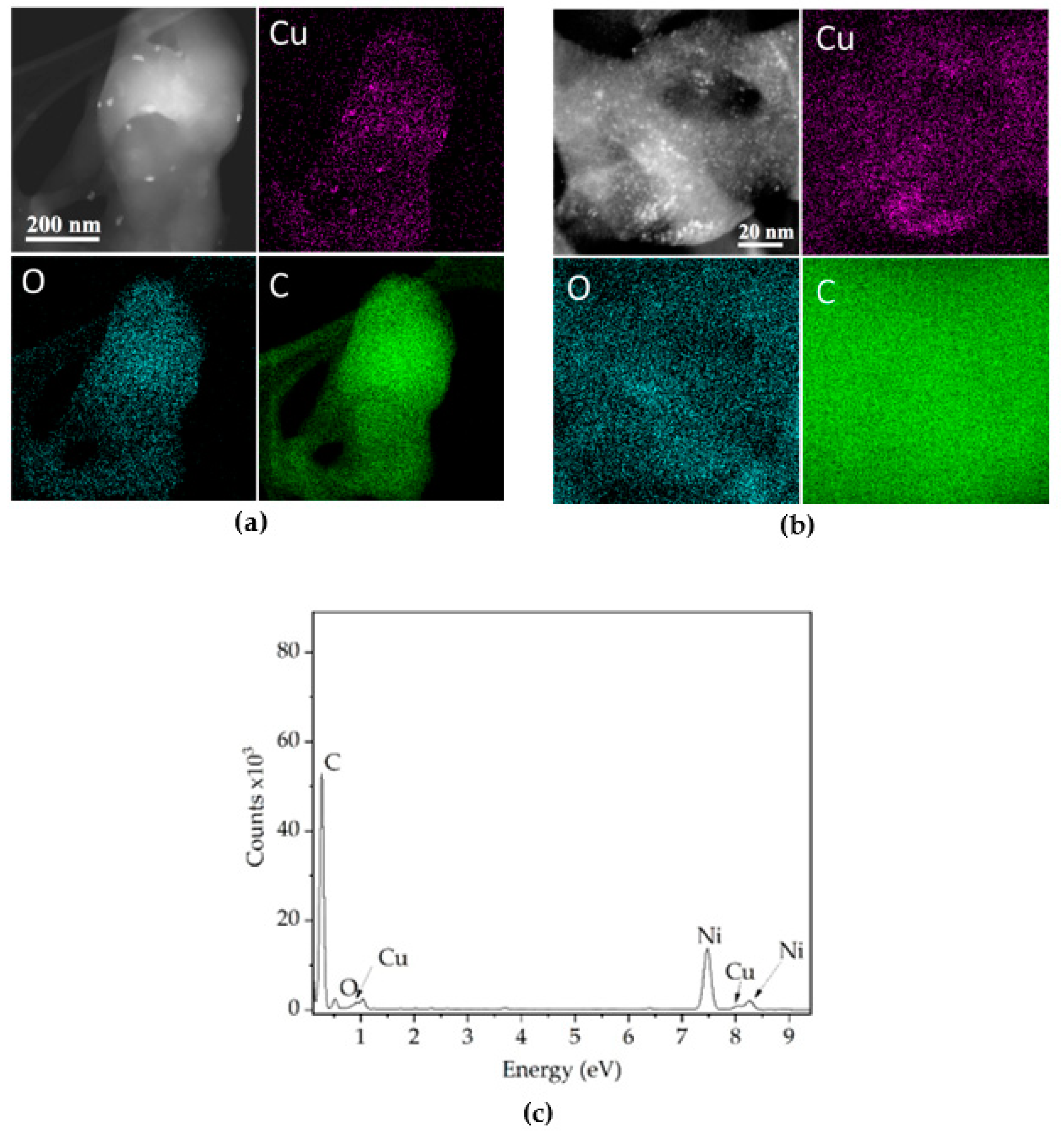 Polymers 14 03066 g004