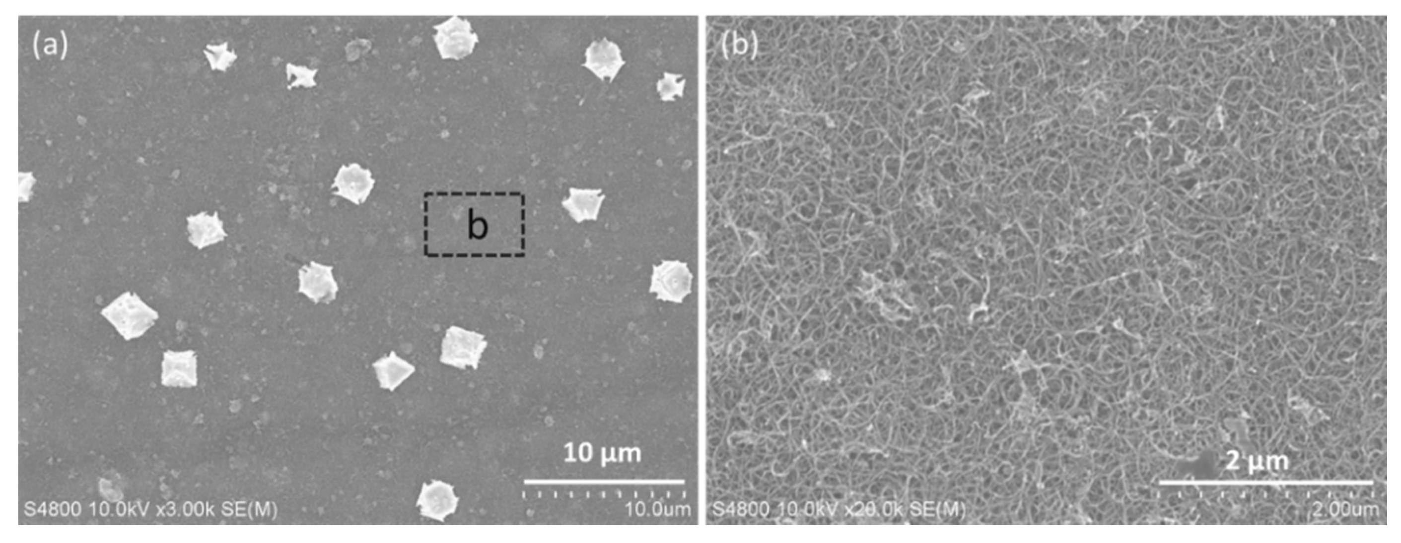 Polymers 14 03068 g006