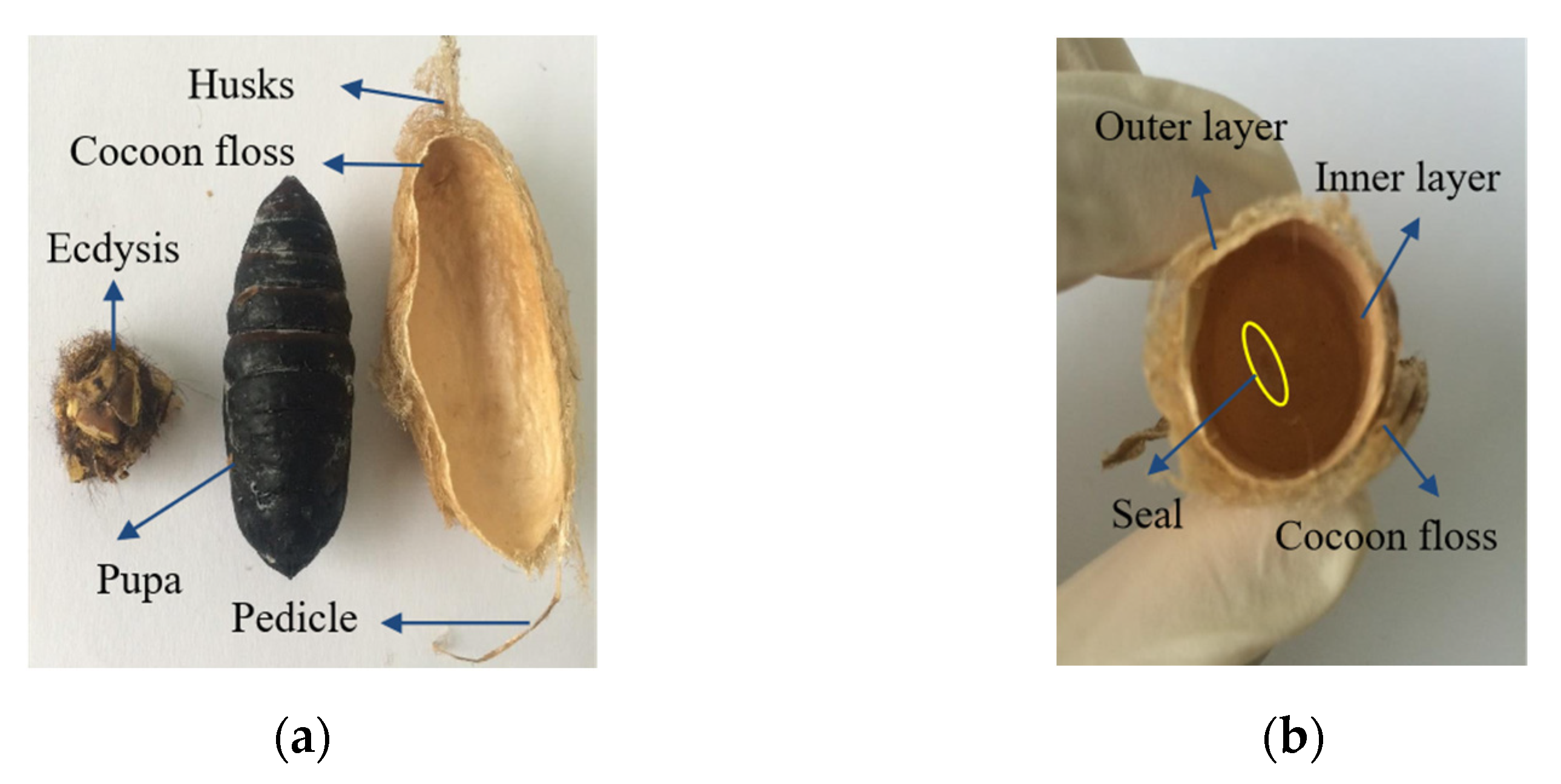 Polymers 14 03072 g003