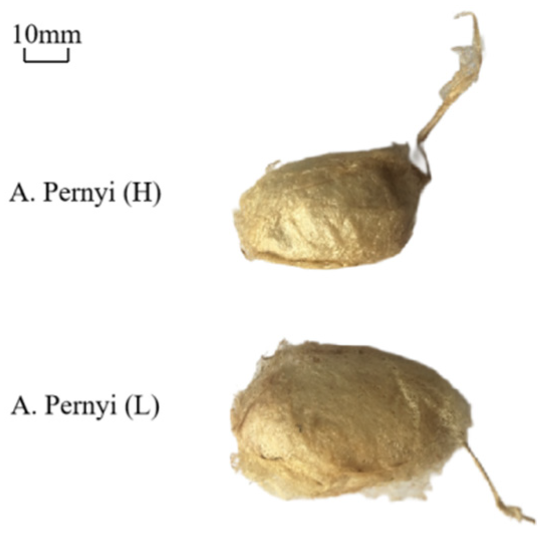 Polymers 14 03072 g004