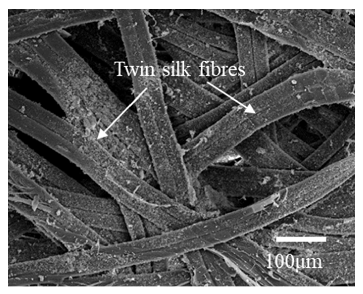 Polymers 14 03072 g005