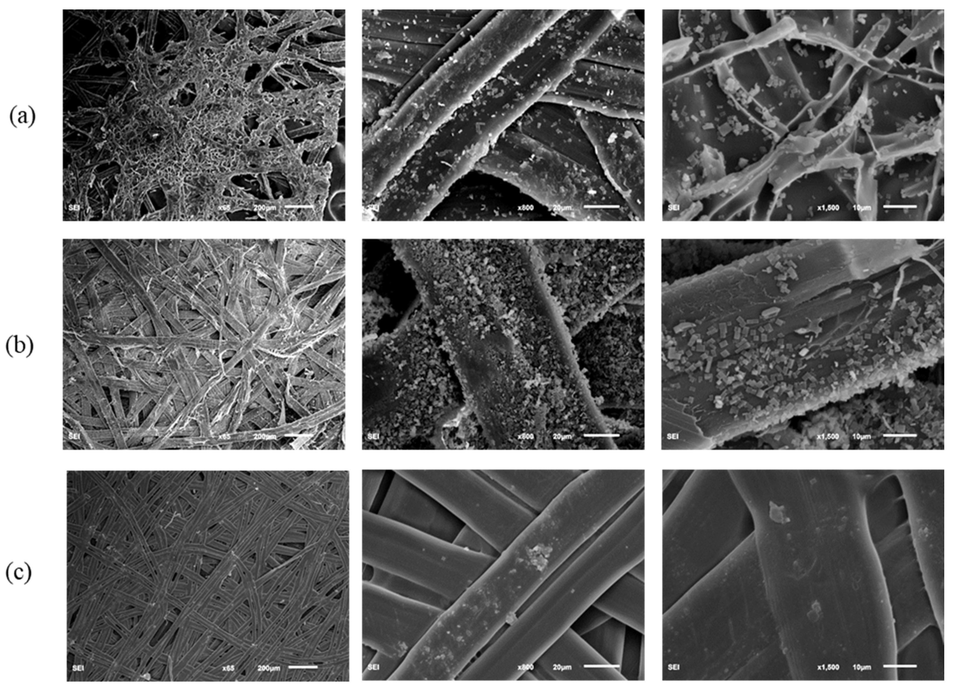 Polymers 14 03072 g006