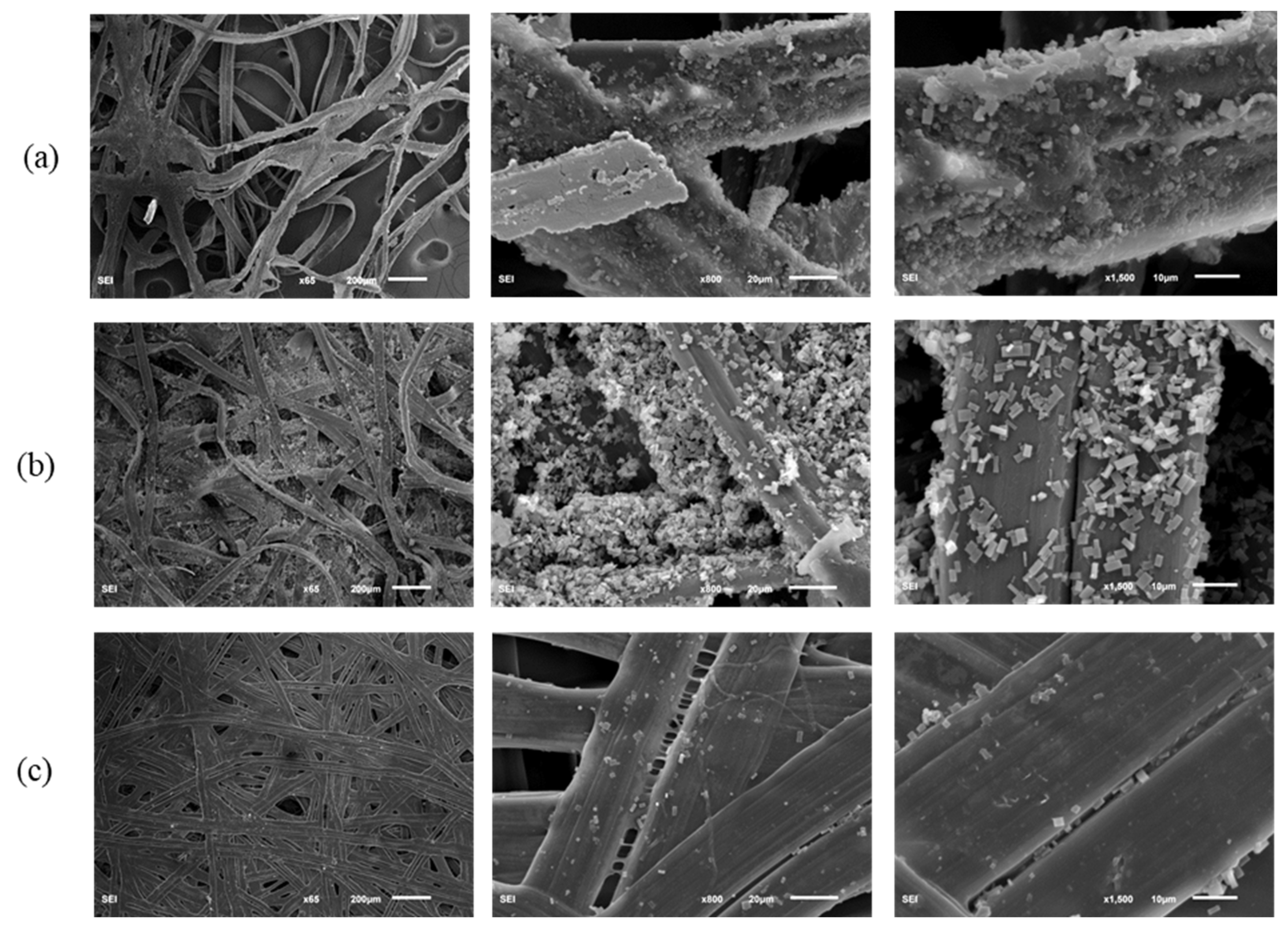 Polymers 14 03072 g007