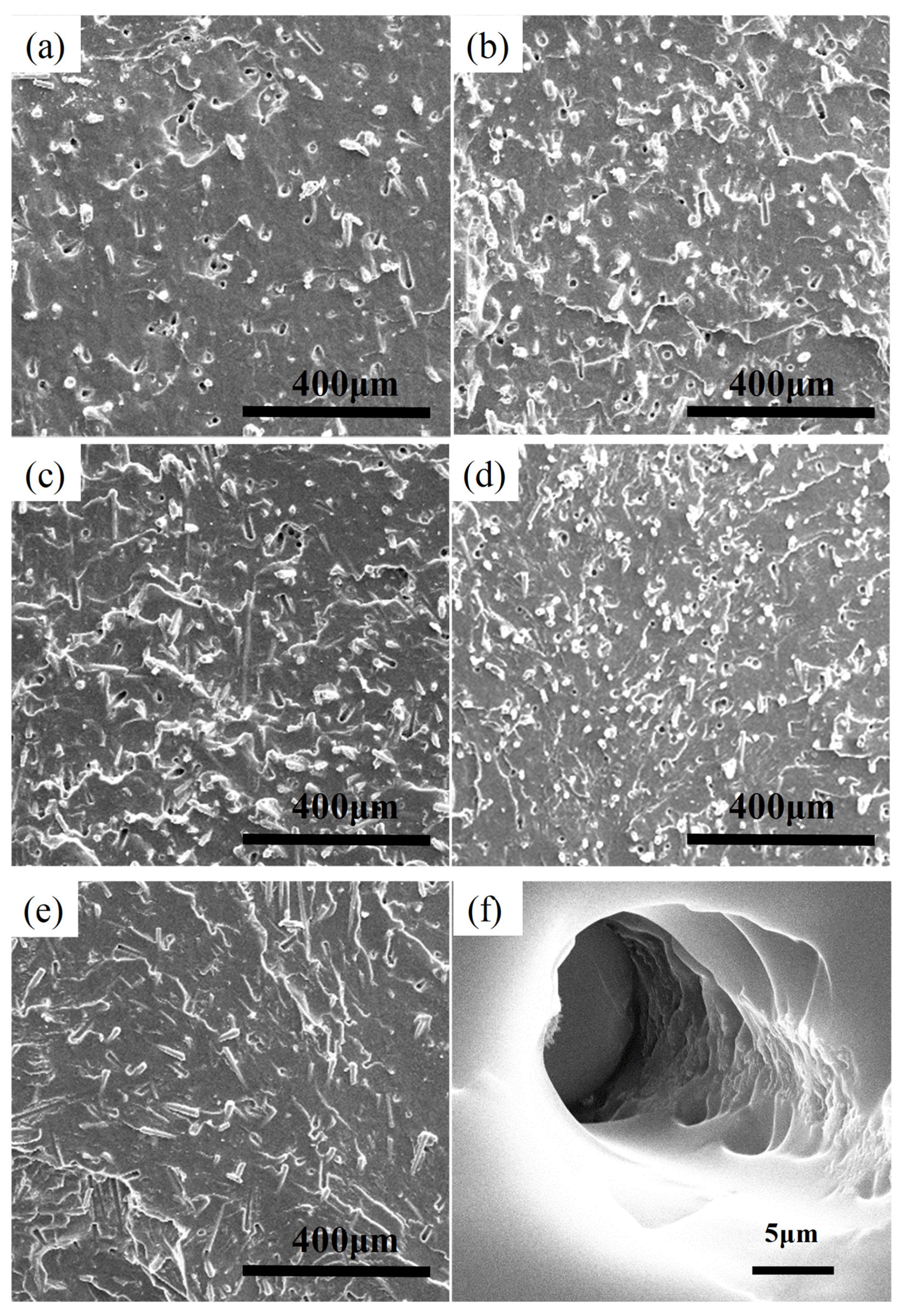 Polymers 14 03080 g002