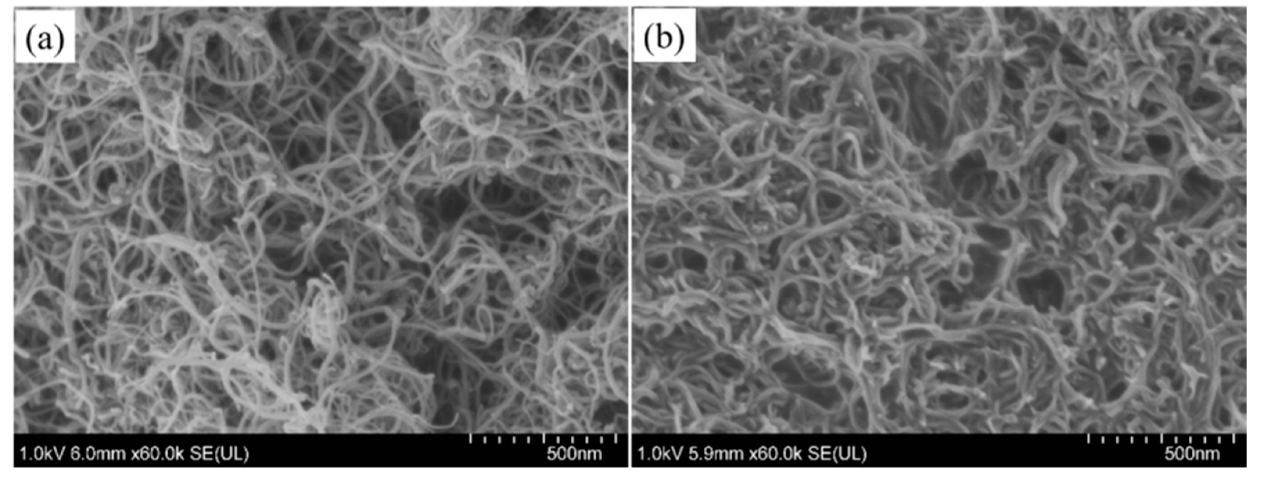 Polymers 14 03091 g004