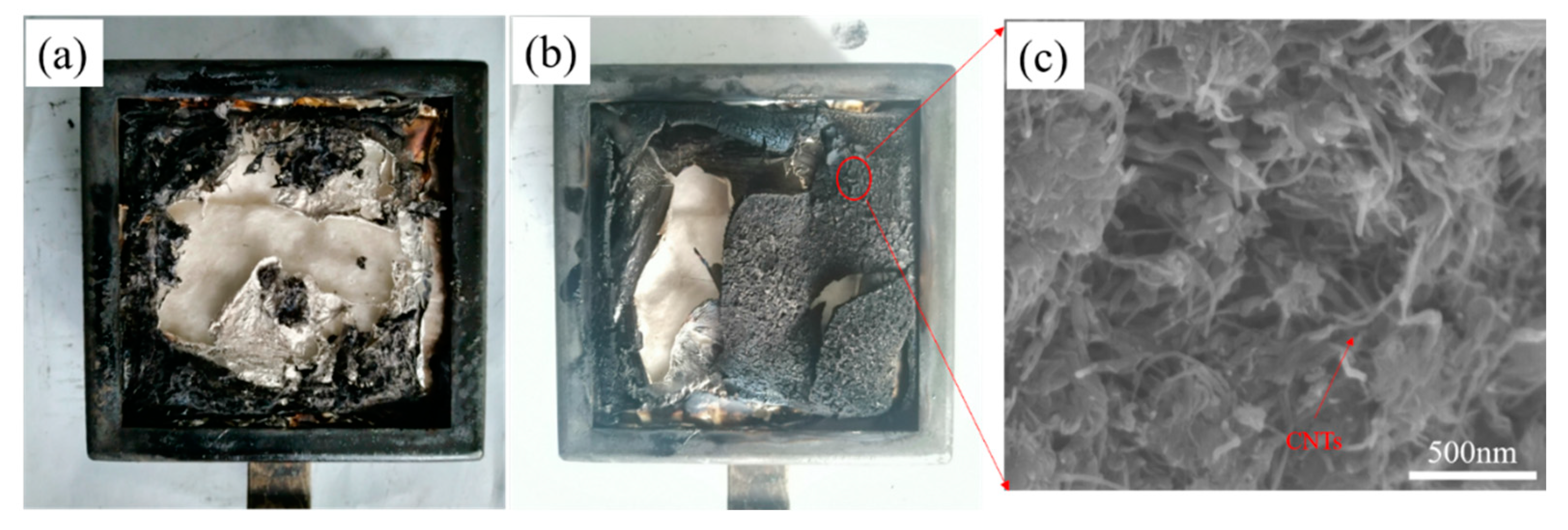 Polymers 14 03091 g009