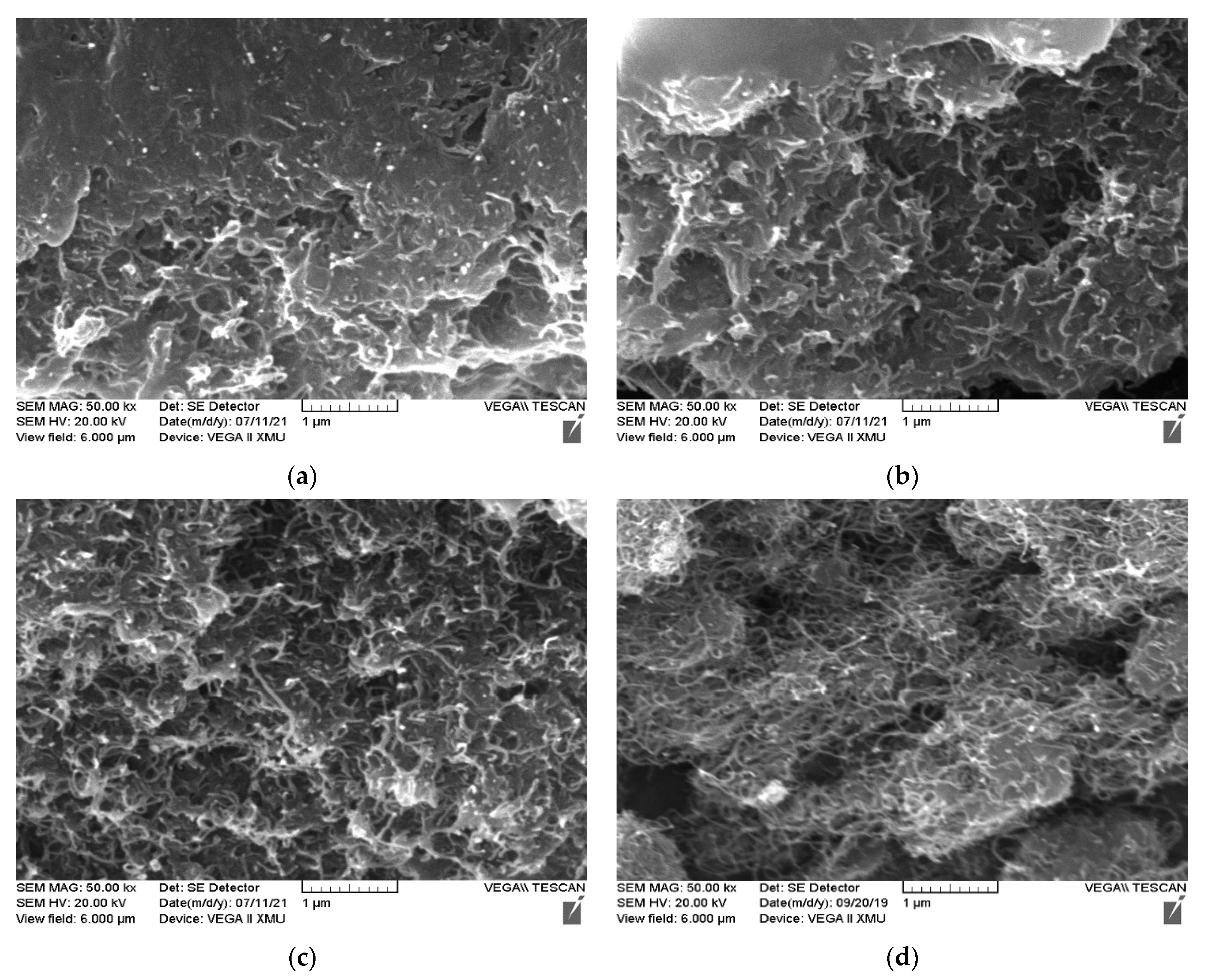 Polymers 14 03093 g001a
