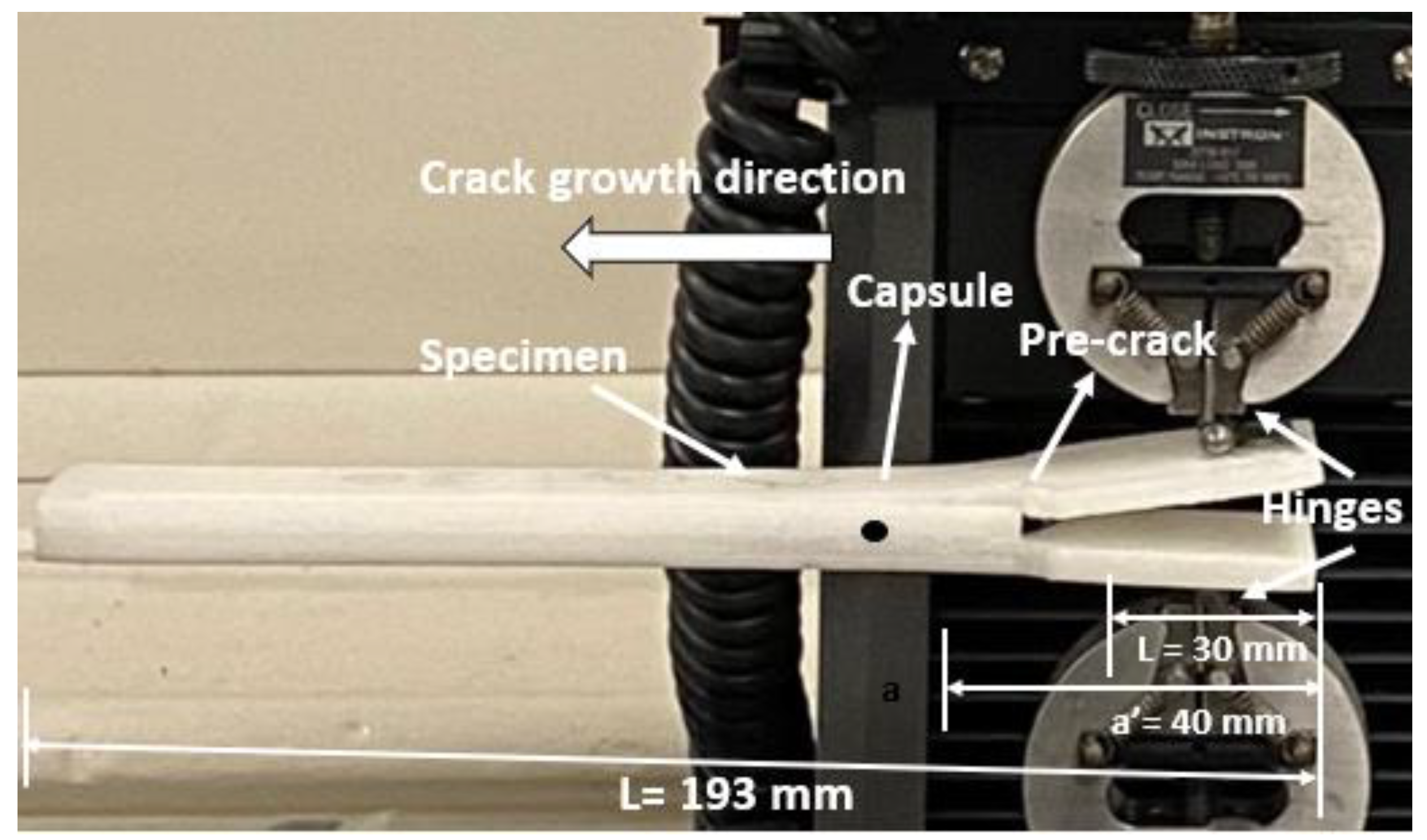 Polymers 14 03102 g009