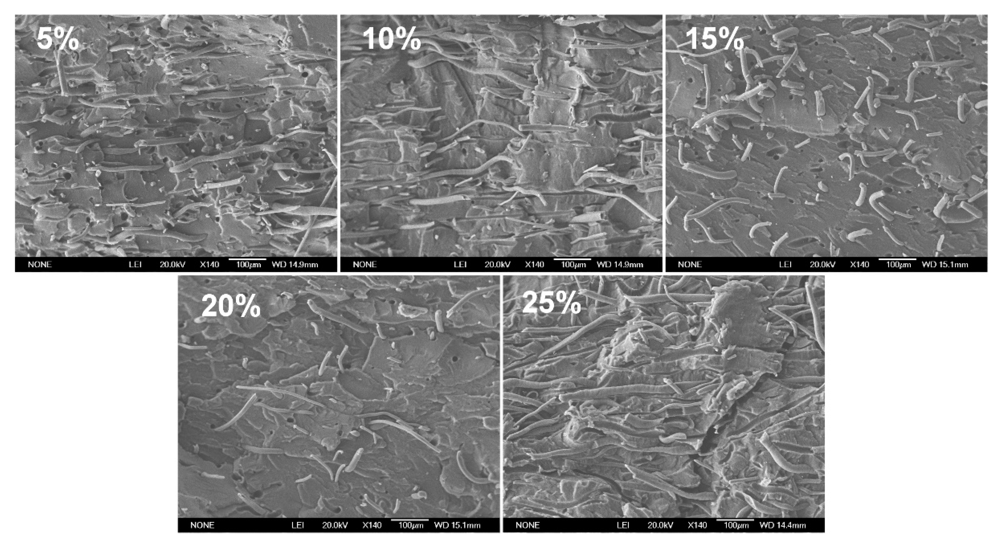 Polymers 14 03109 g002