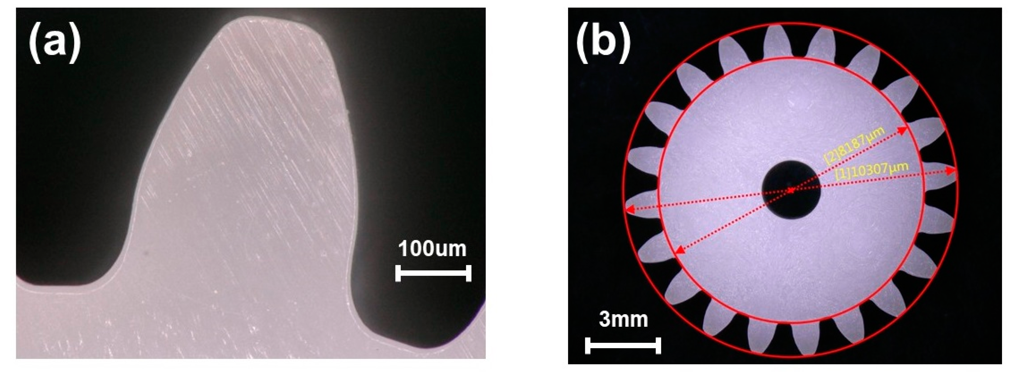 Polymers 14 03114 g008