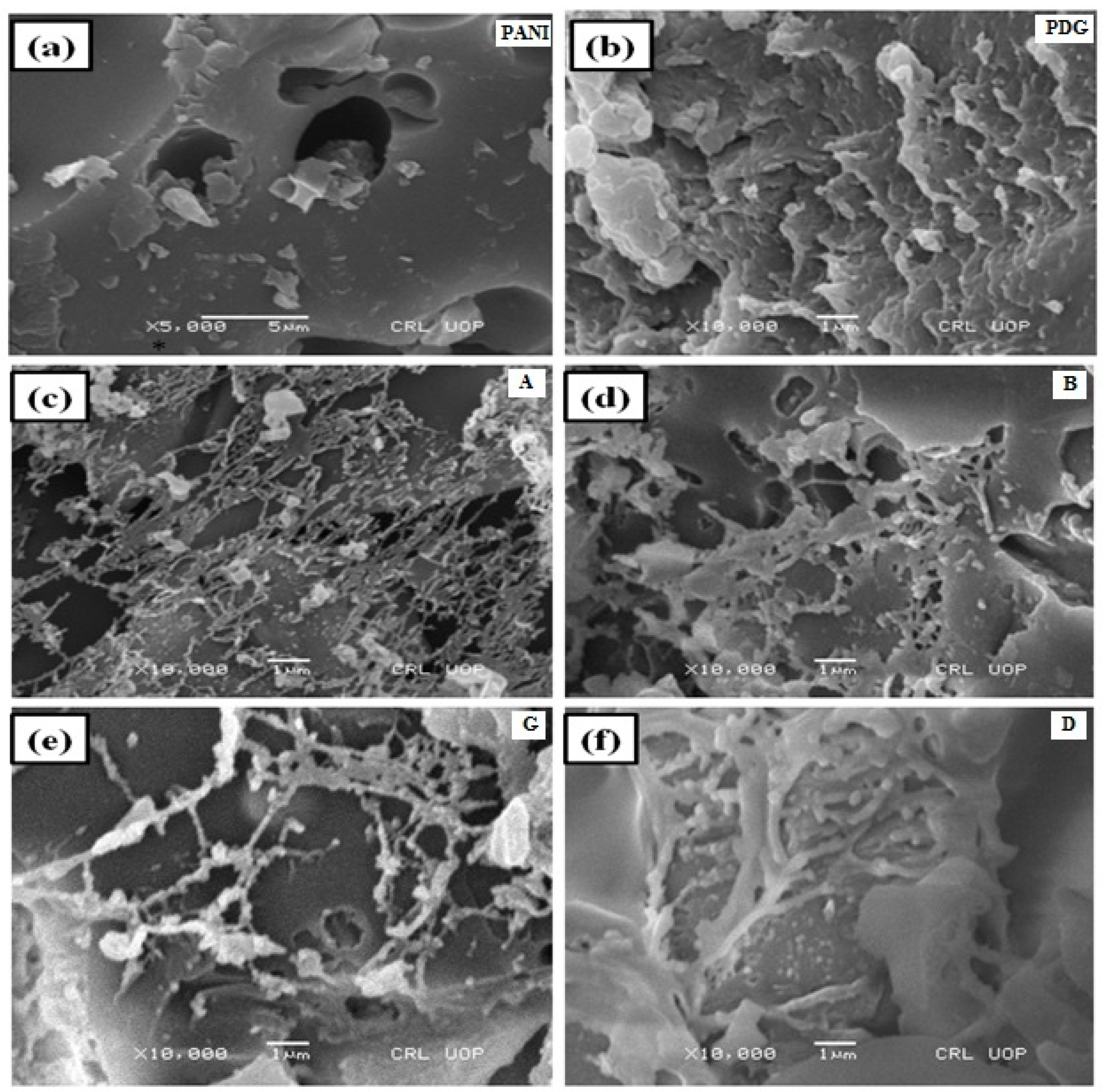 Polymers 14 03116 g006 Polymers 14 03116 g006