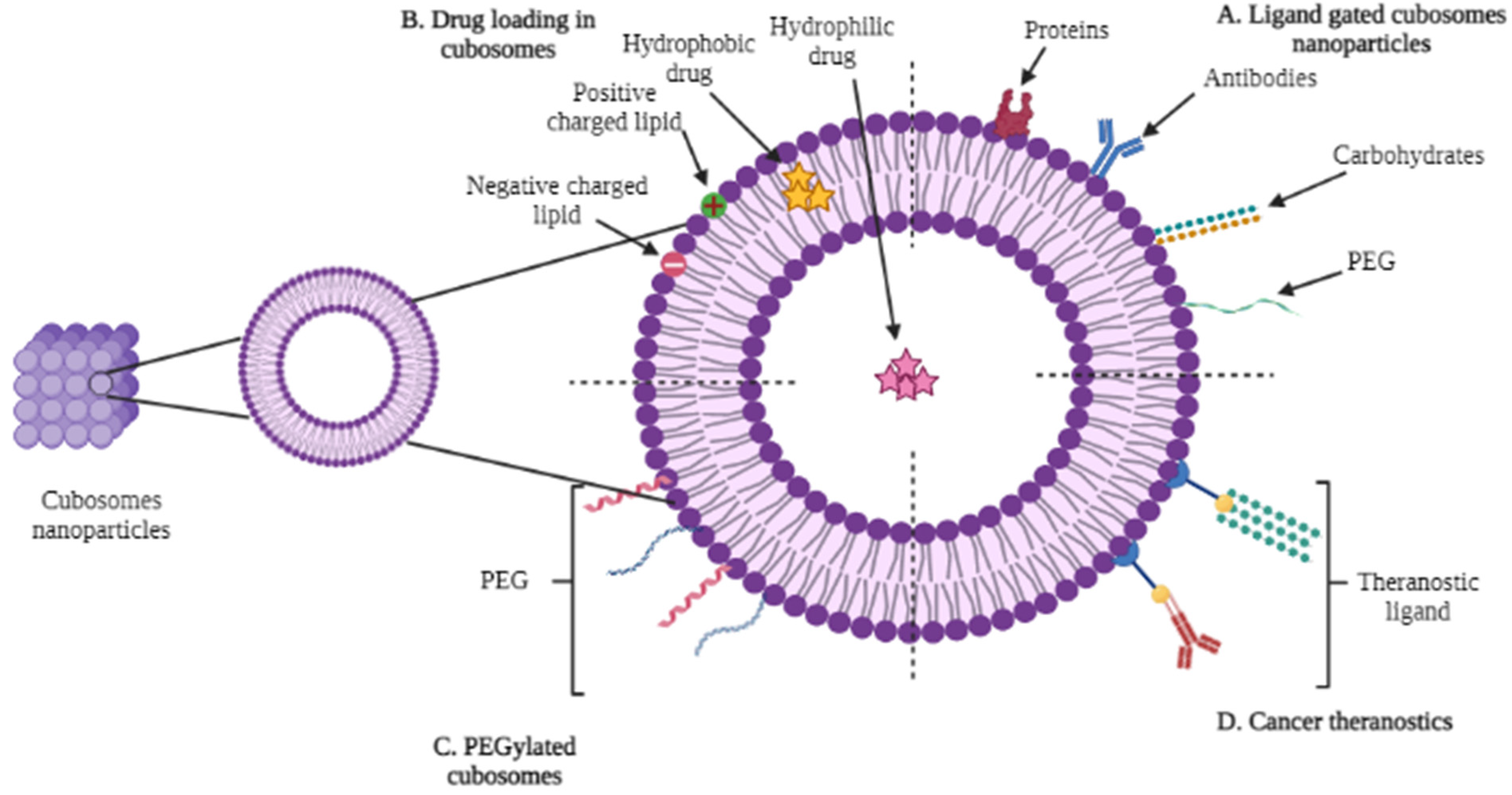Polymers 14 03118 g001