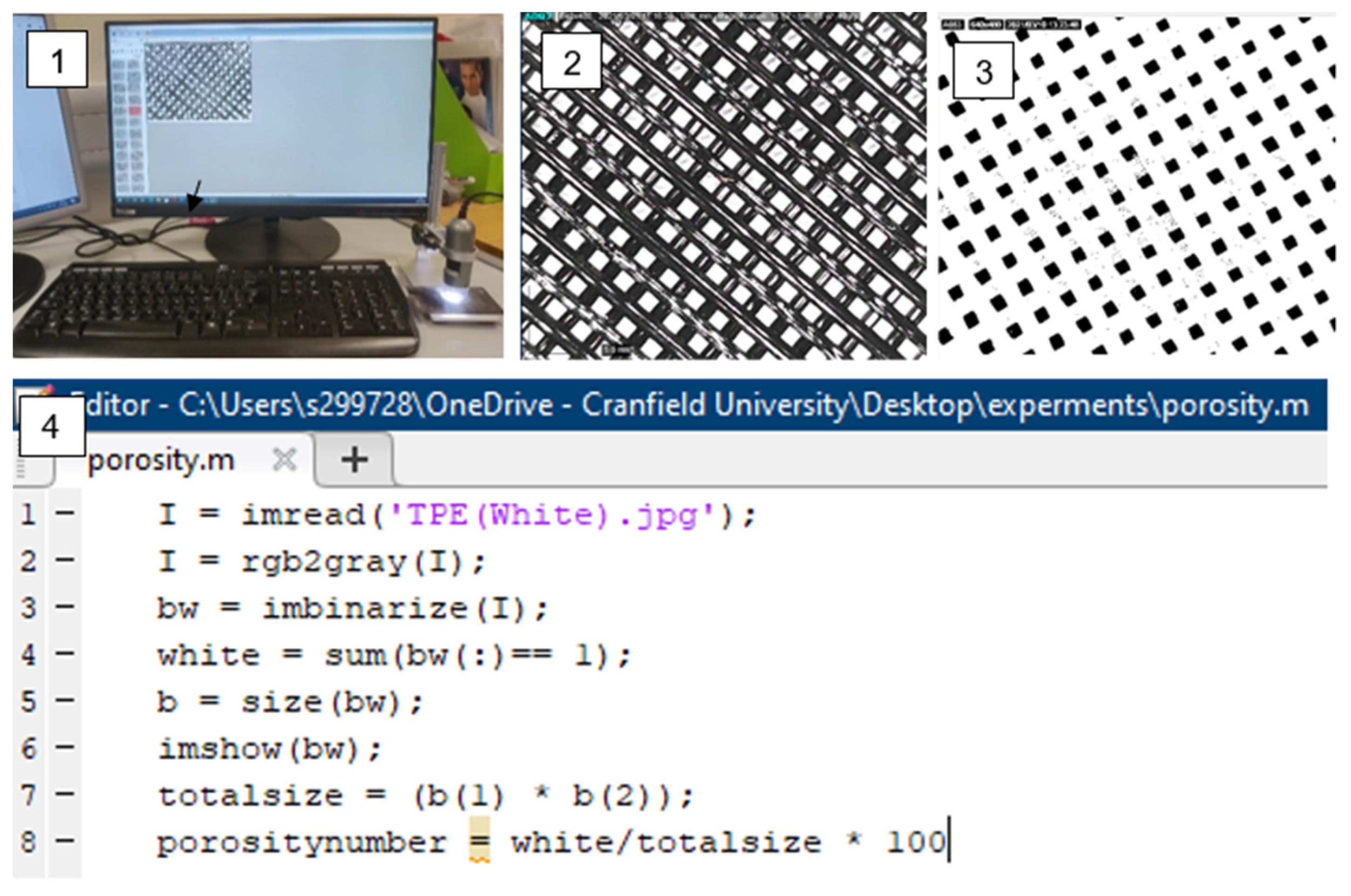Polymers 14 03128 g009