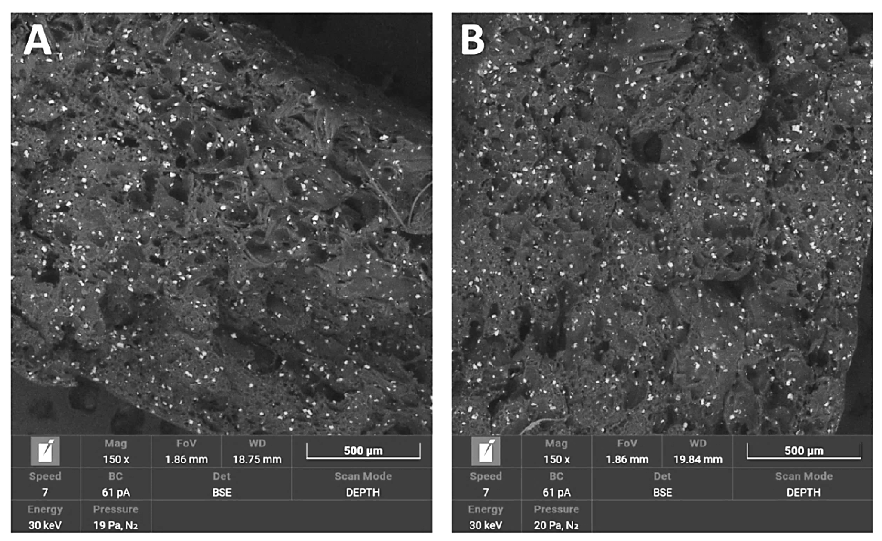 Polymers 14 03152 g014