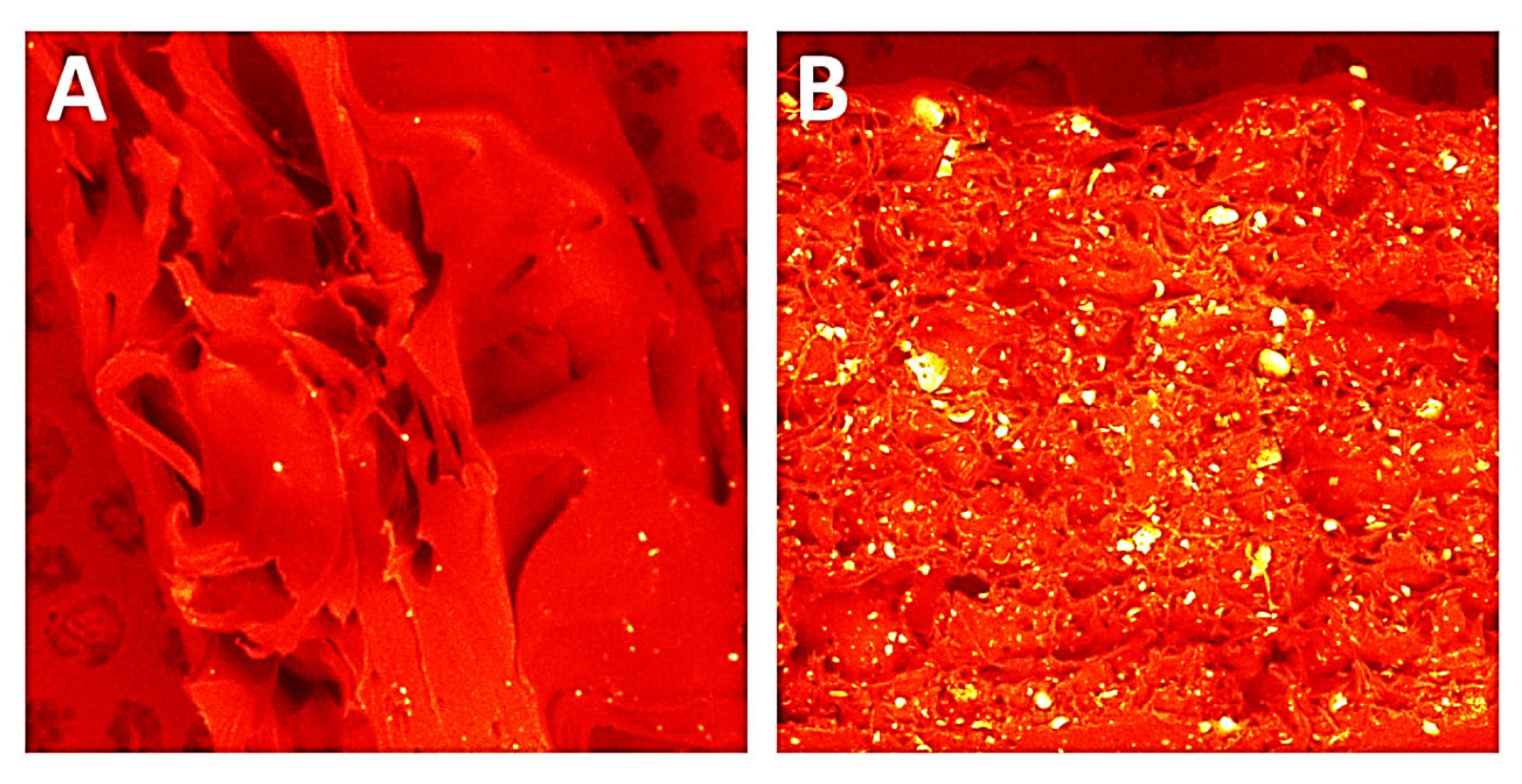 Polymers 14 03152 g016